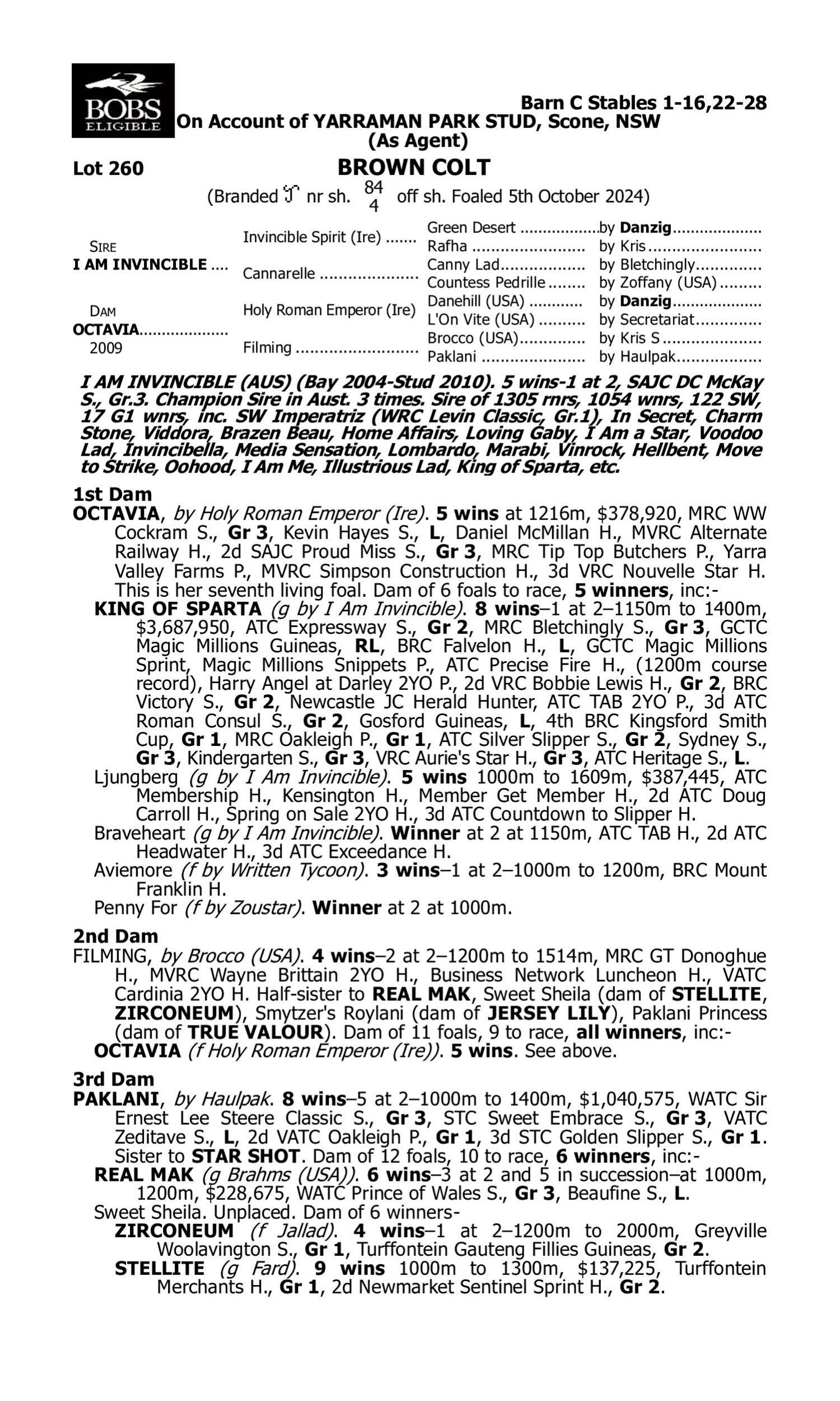 Pedigree for Lot 260 I Am Invincible - Octavia