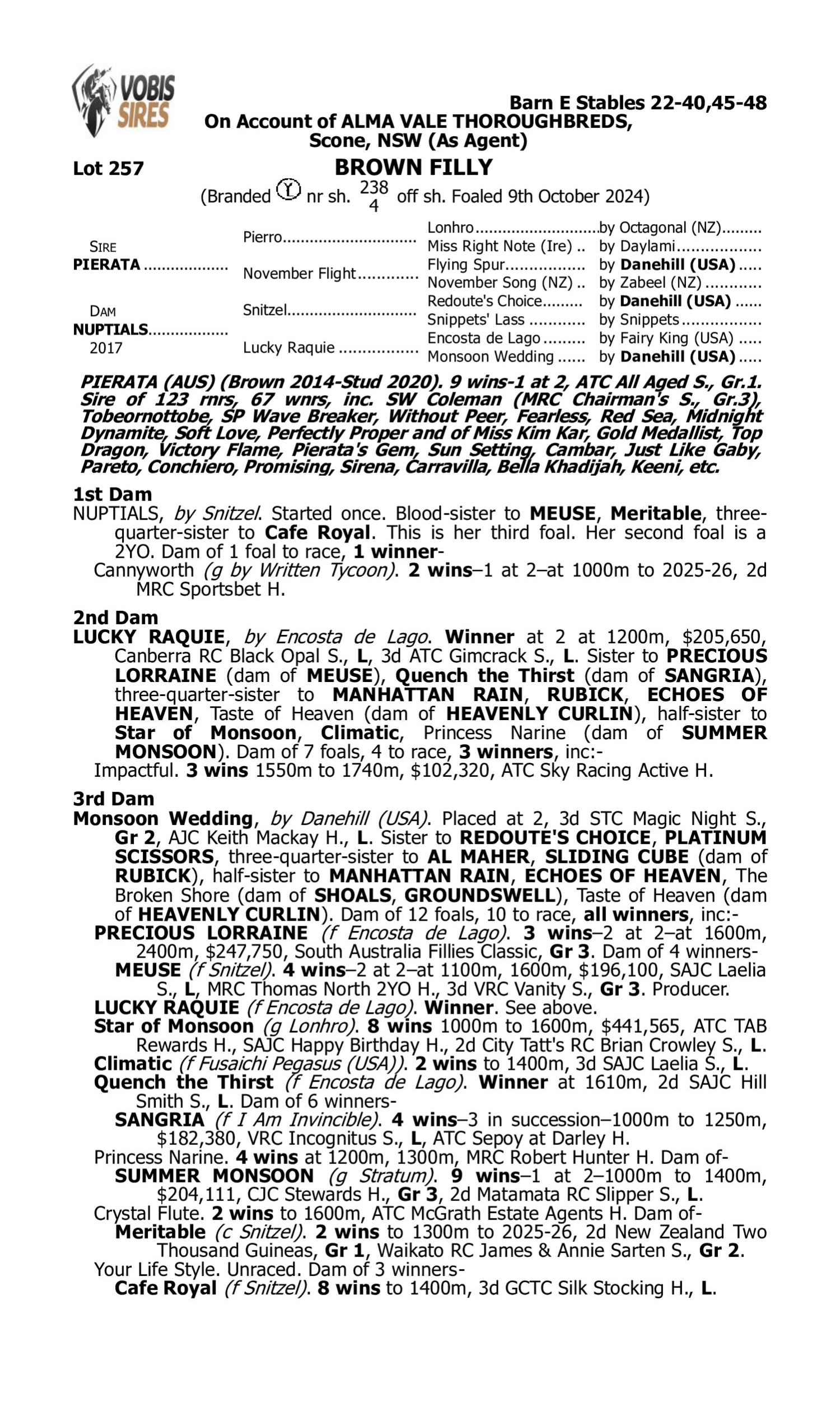 Pedigree for Lot 257 Pierata - Nuptials