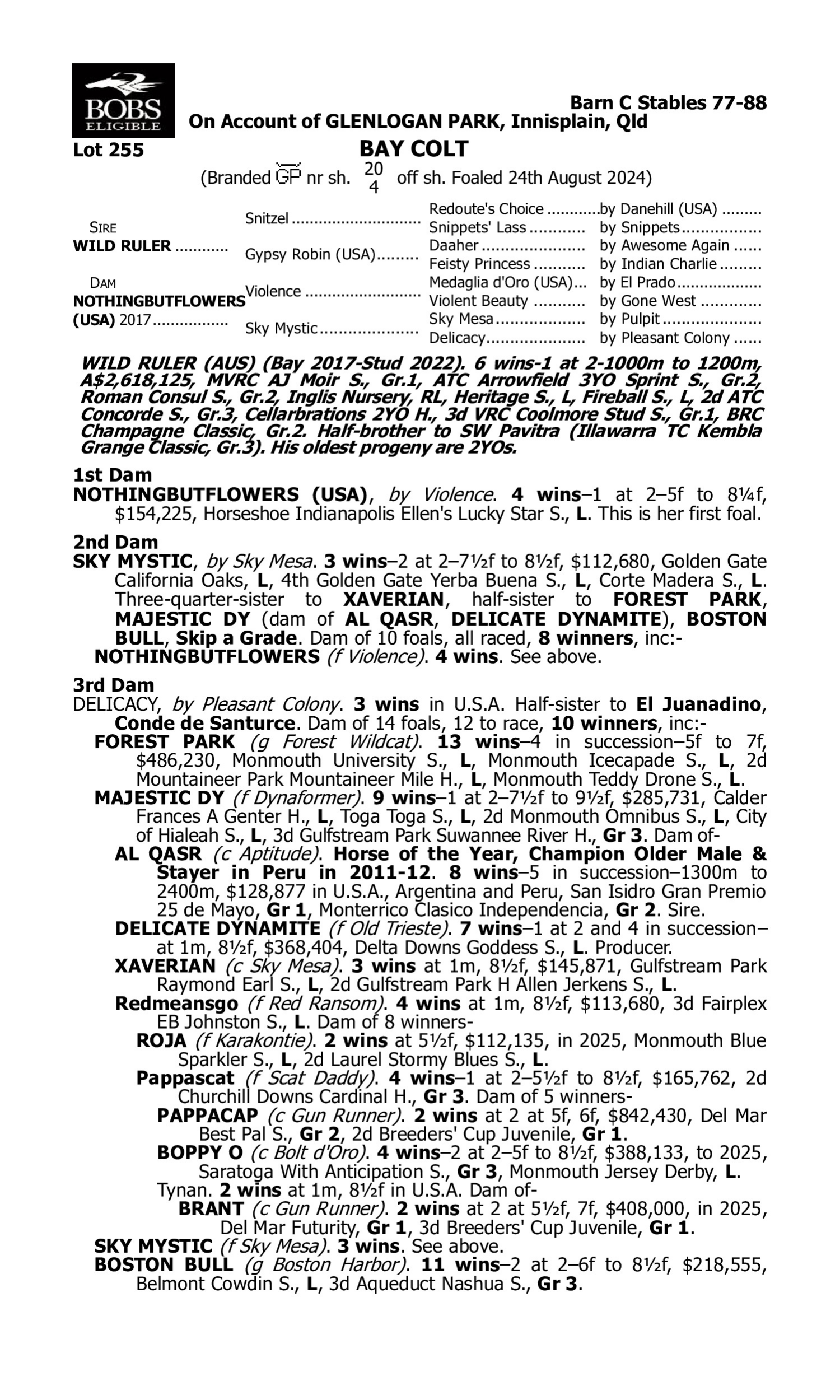 Pedigree for Lot 255 Wild Ruler - Nothingbutflowers (USA)