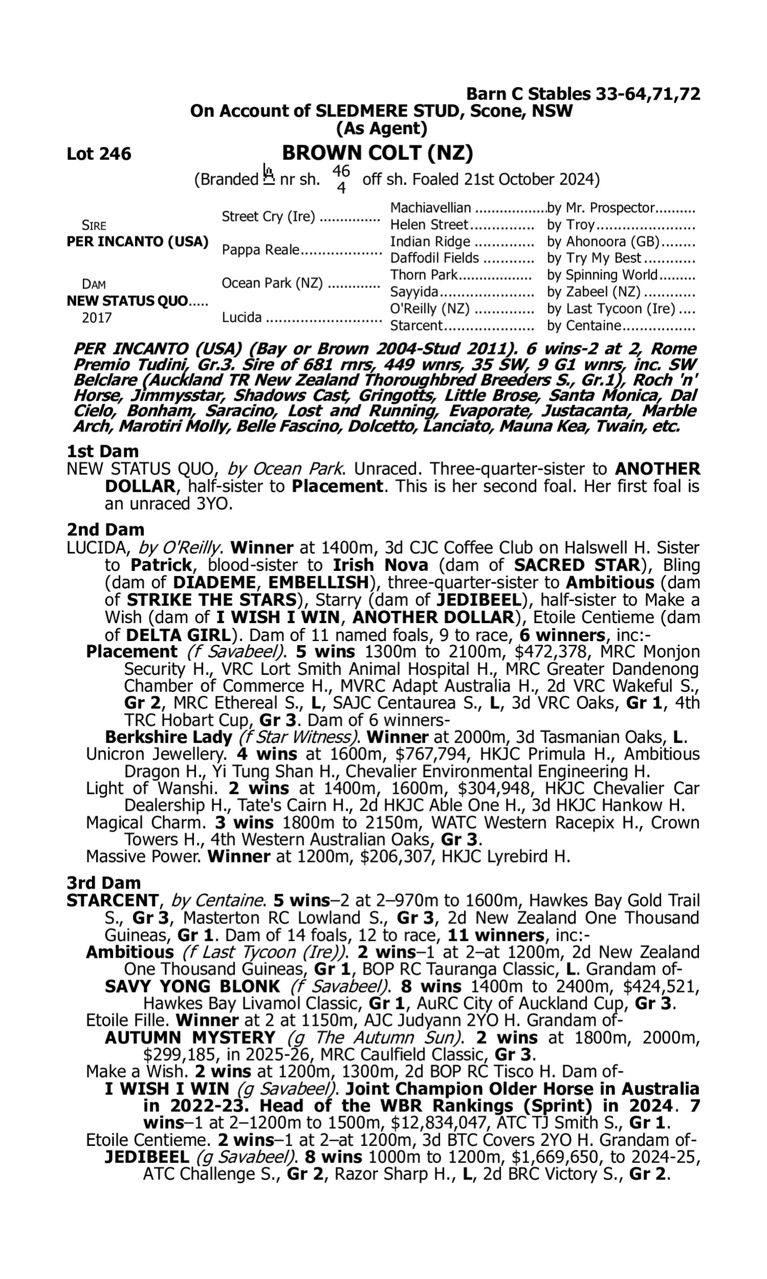 Pedigree for Lot 246 Per Incanto (USA) - New Status Quo (NZ)