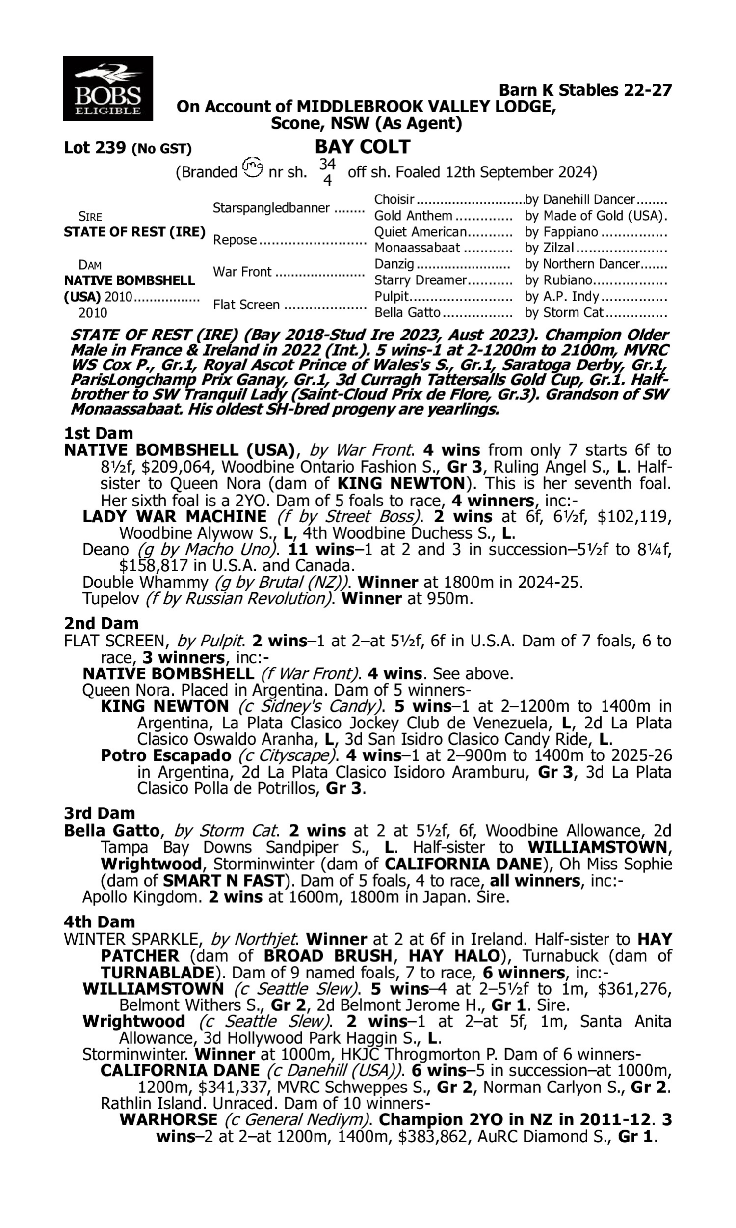 Pedigree for Lot 239 State of Rest (IRE) - Native Bombshell (USA)