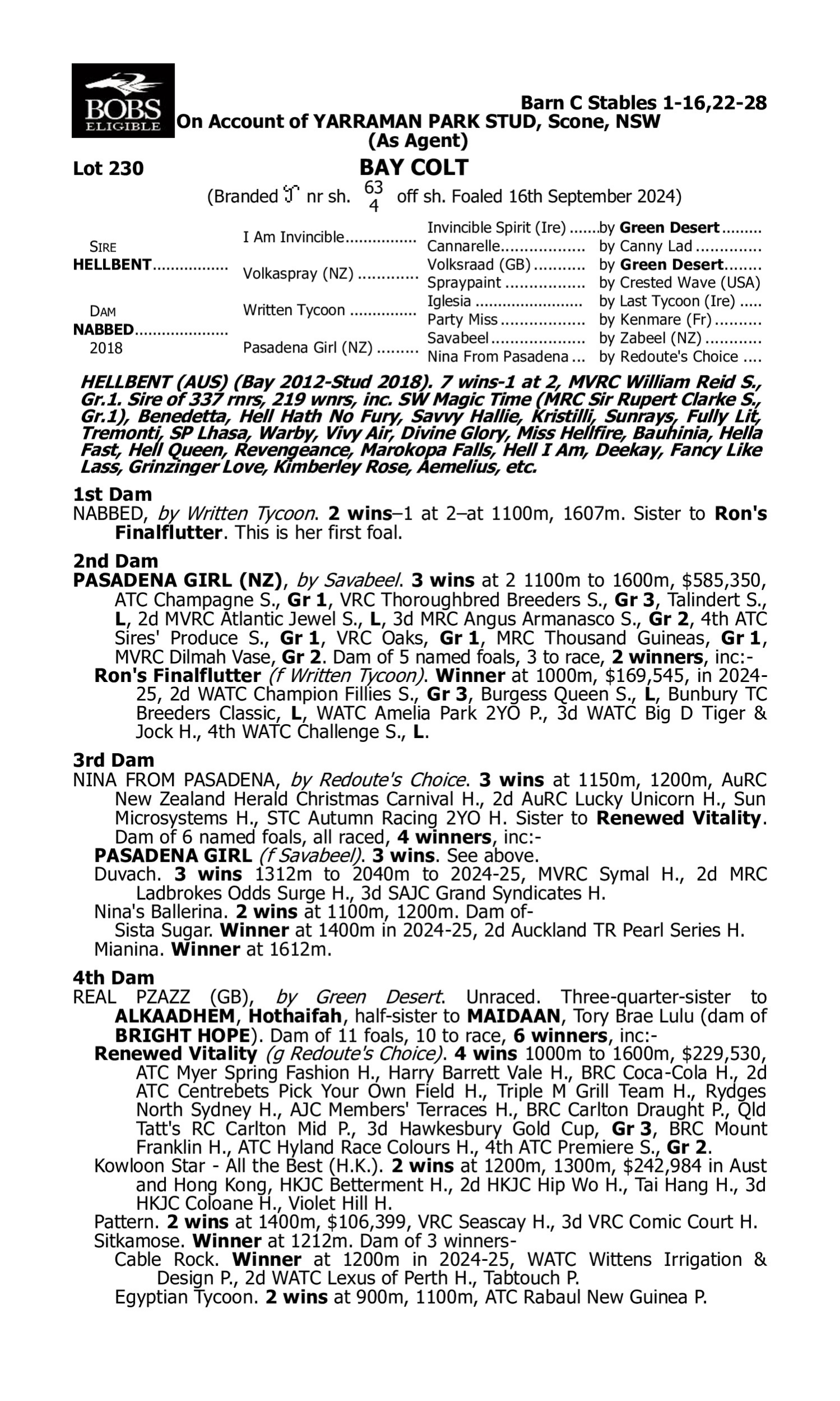Pedigree for Lot 230 Hellbent - Nabbed