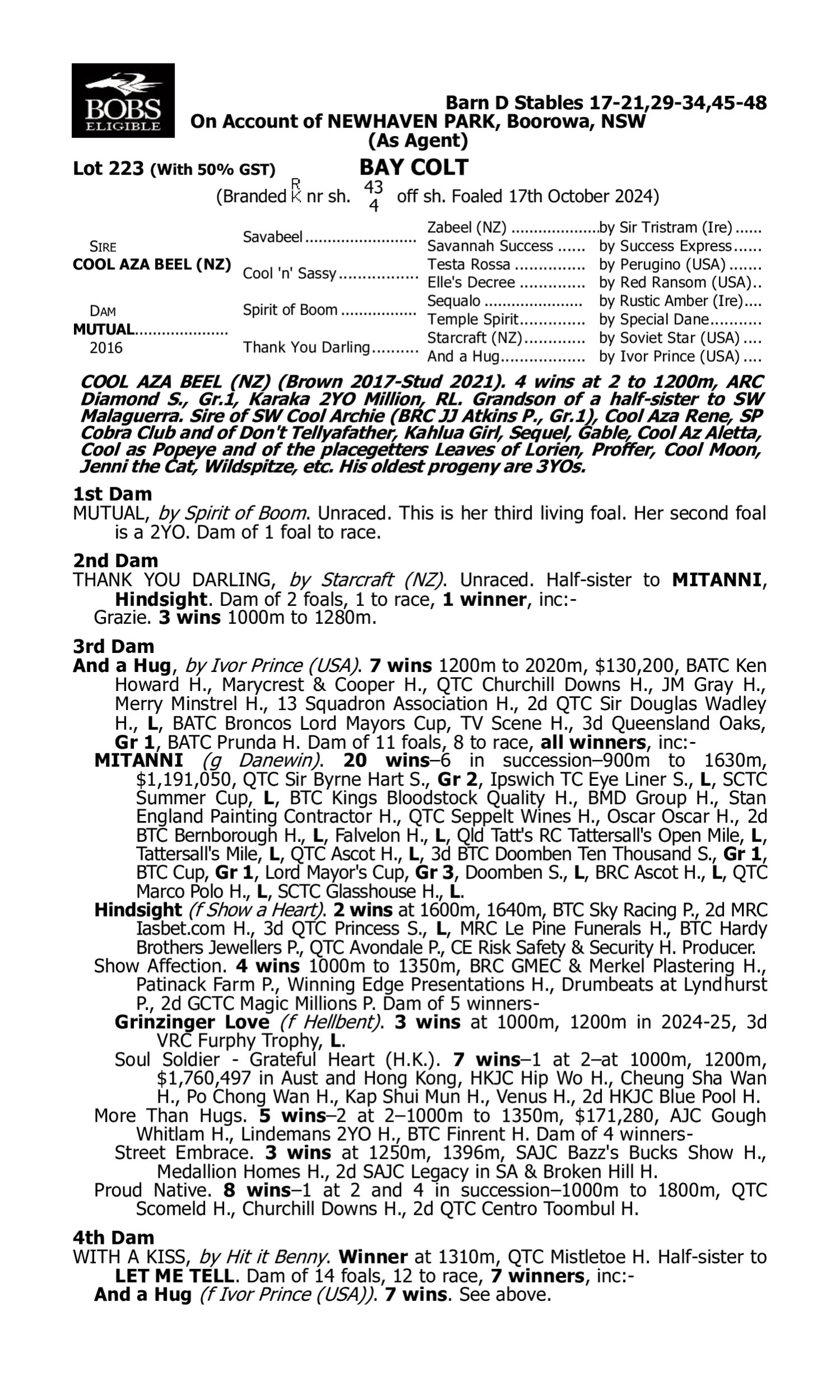 Pedigree for Lot 223 Cool Aza Beel (NZ) - Mutual