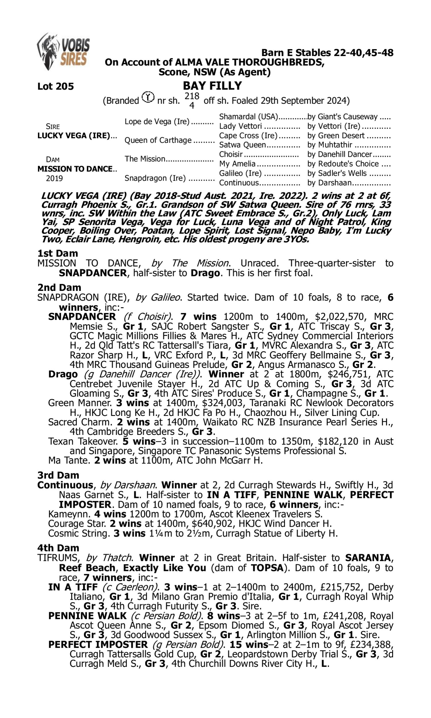 Pedigree for Lot 205 Lucky Vega (IRE) - Mission to Dance
