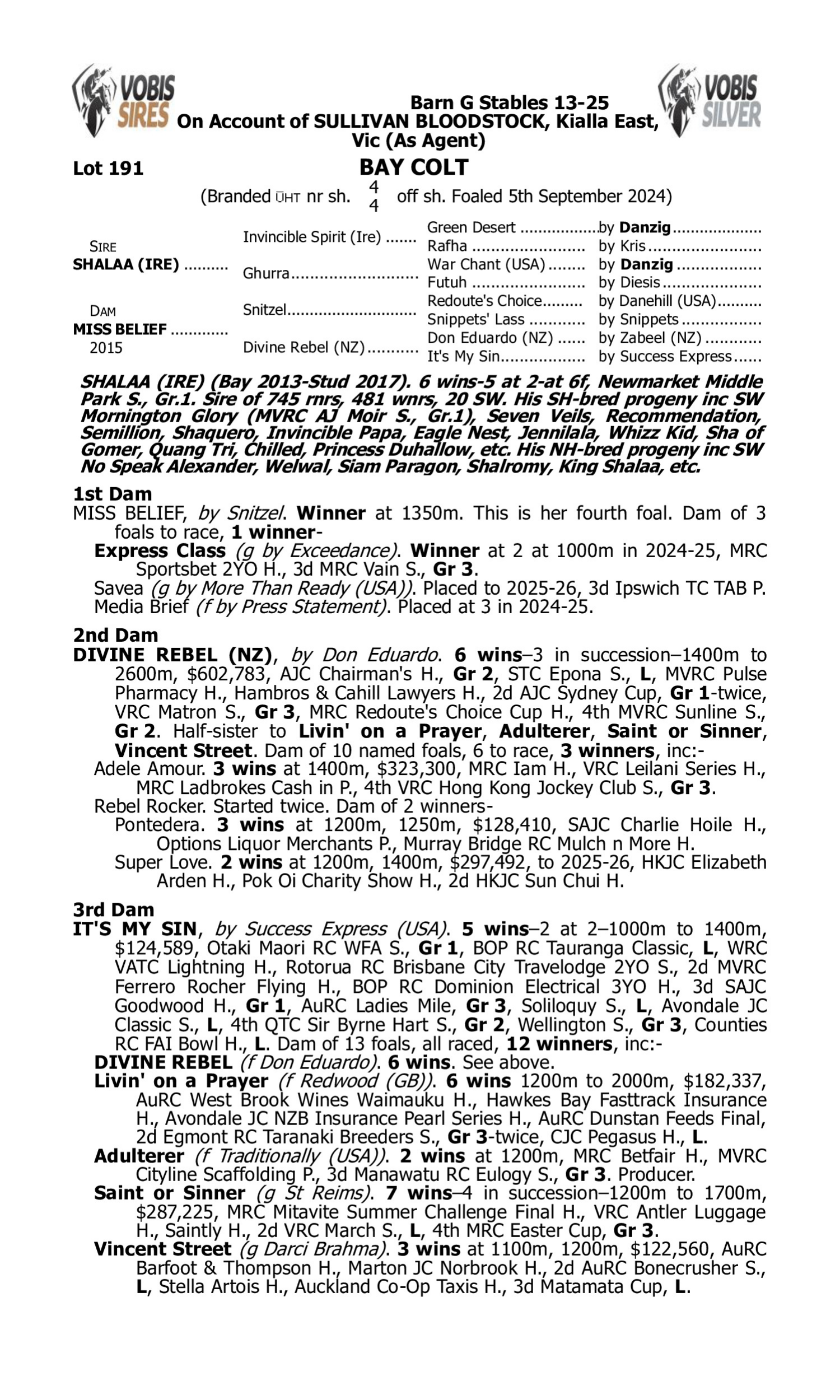 Pedigree for Lot 191 Shalaa (IRE) - Miss Belief