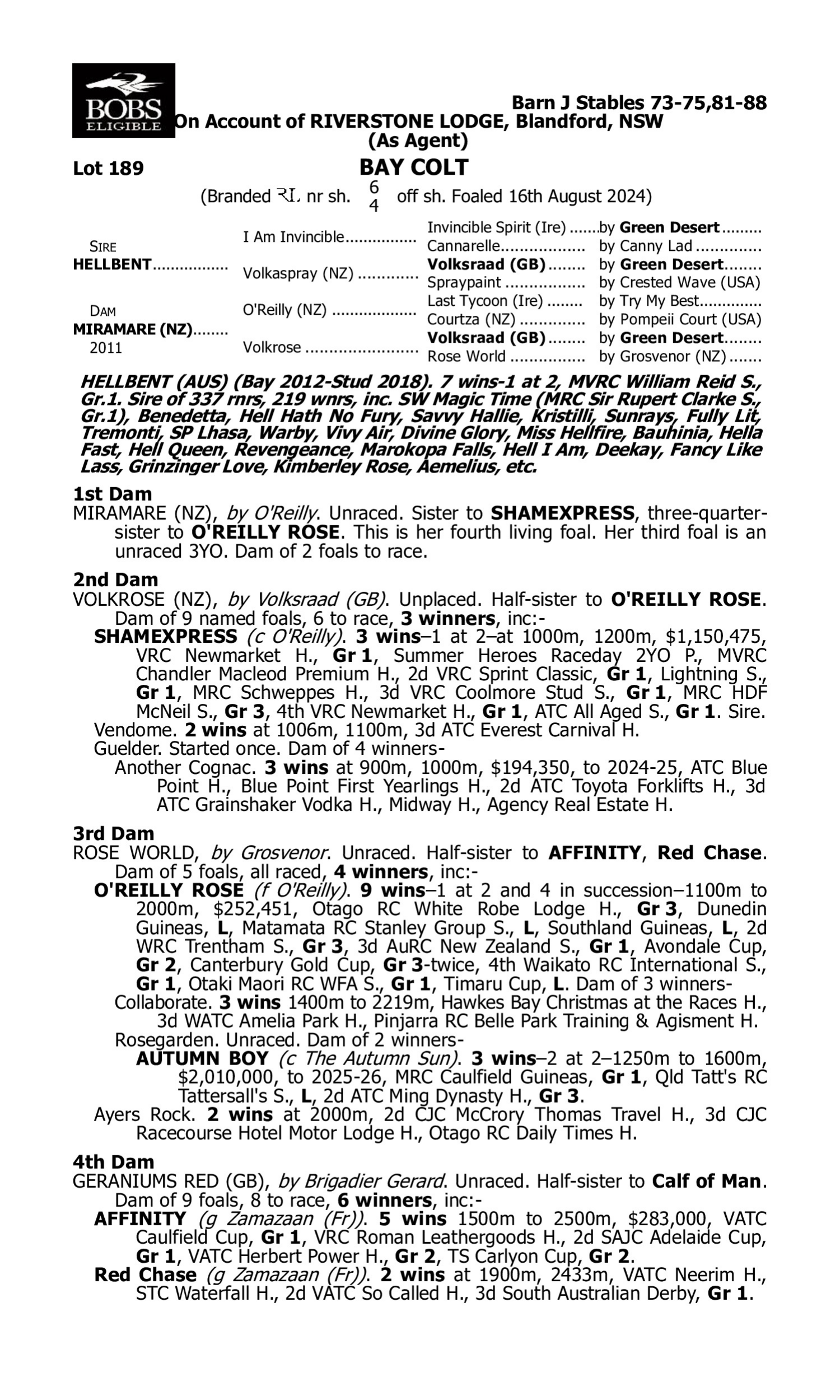 Pedigree for Lot 189 Hellbent - Miramare (NZ)