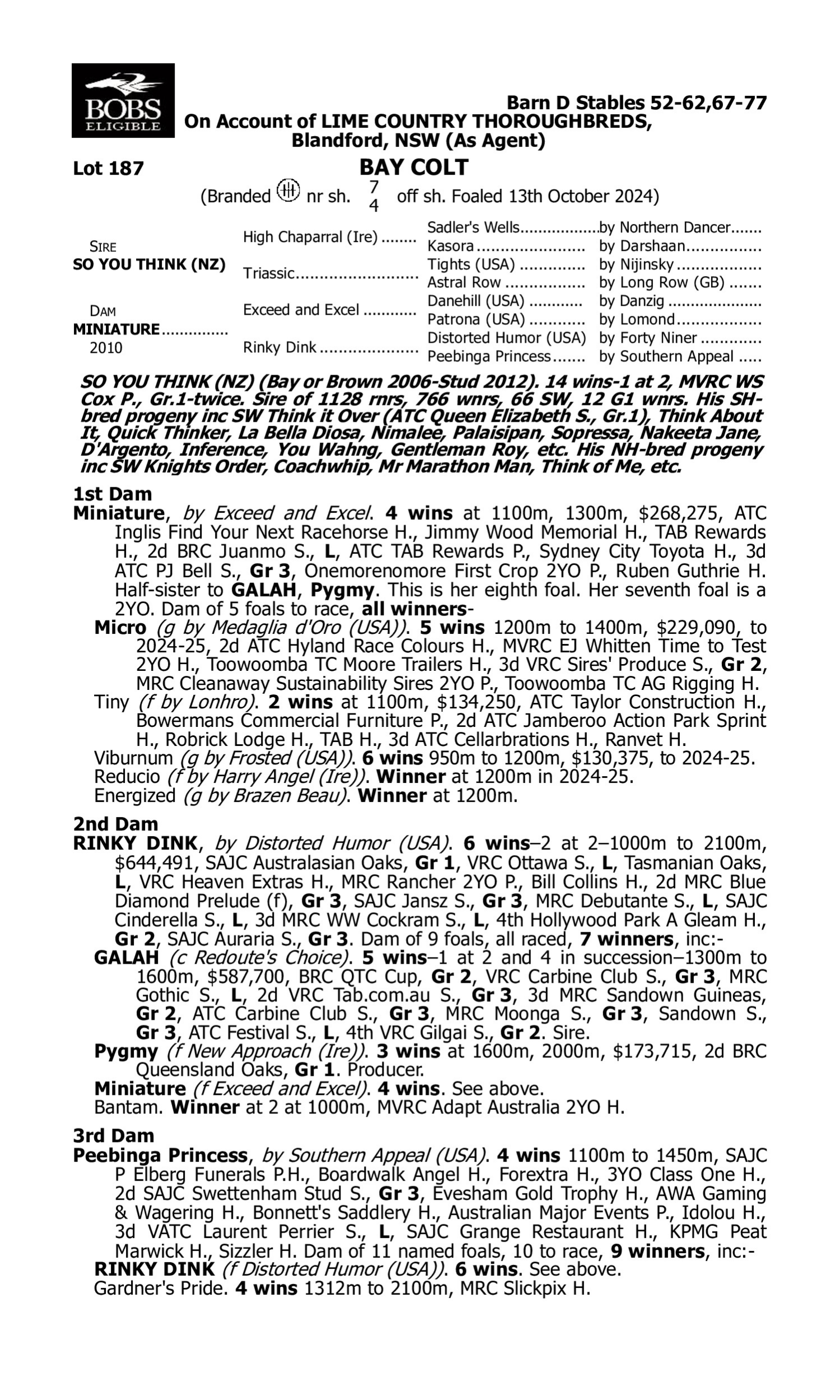 Pedigree for Lot 187 So You Think (NZ) - Miniature