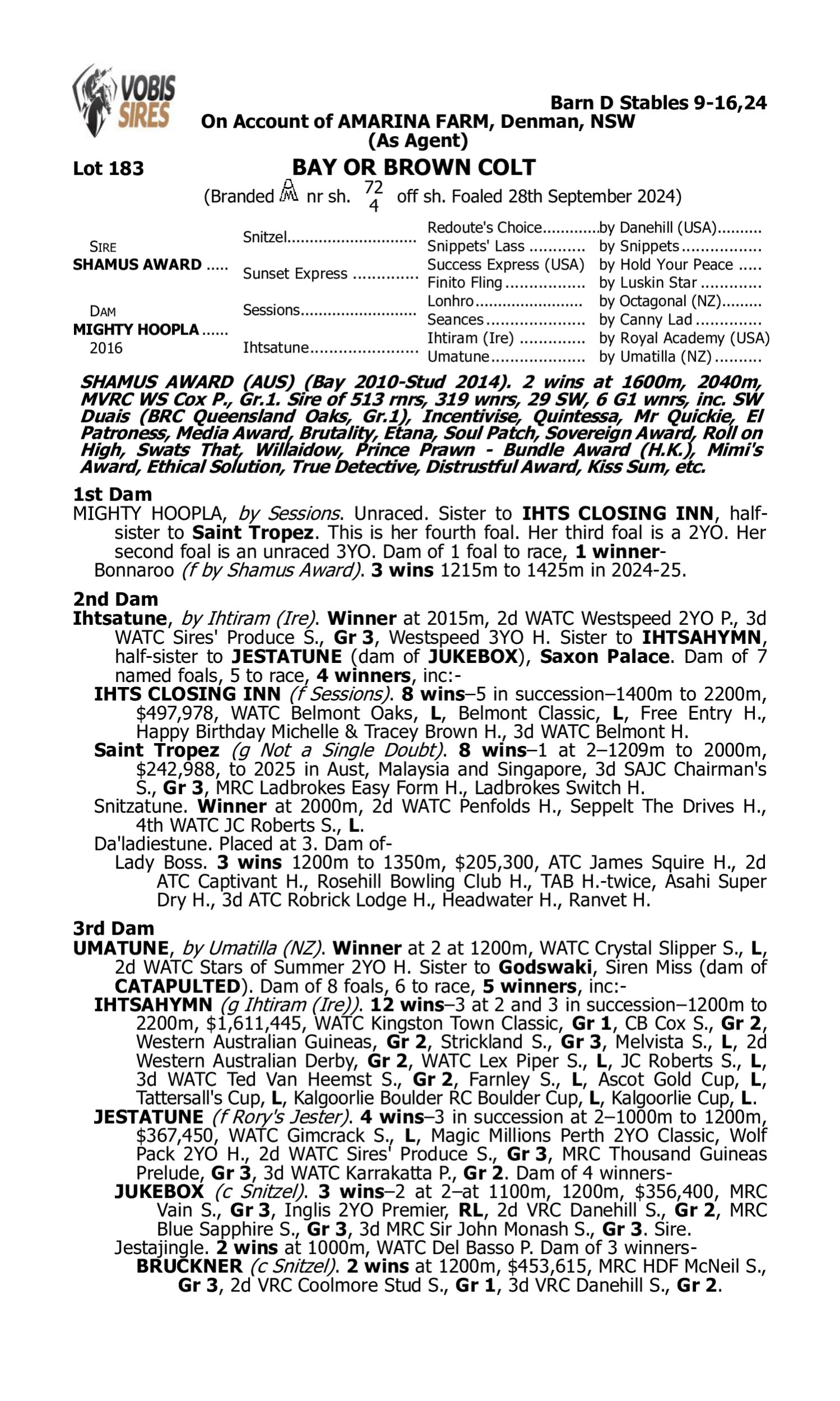 Pedigree for Lot 183 Shamus Award - Mighty Hoopla