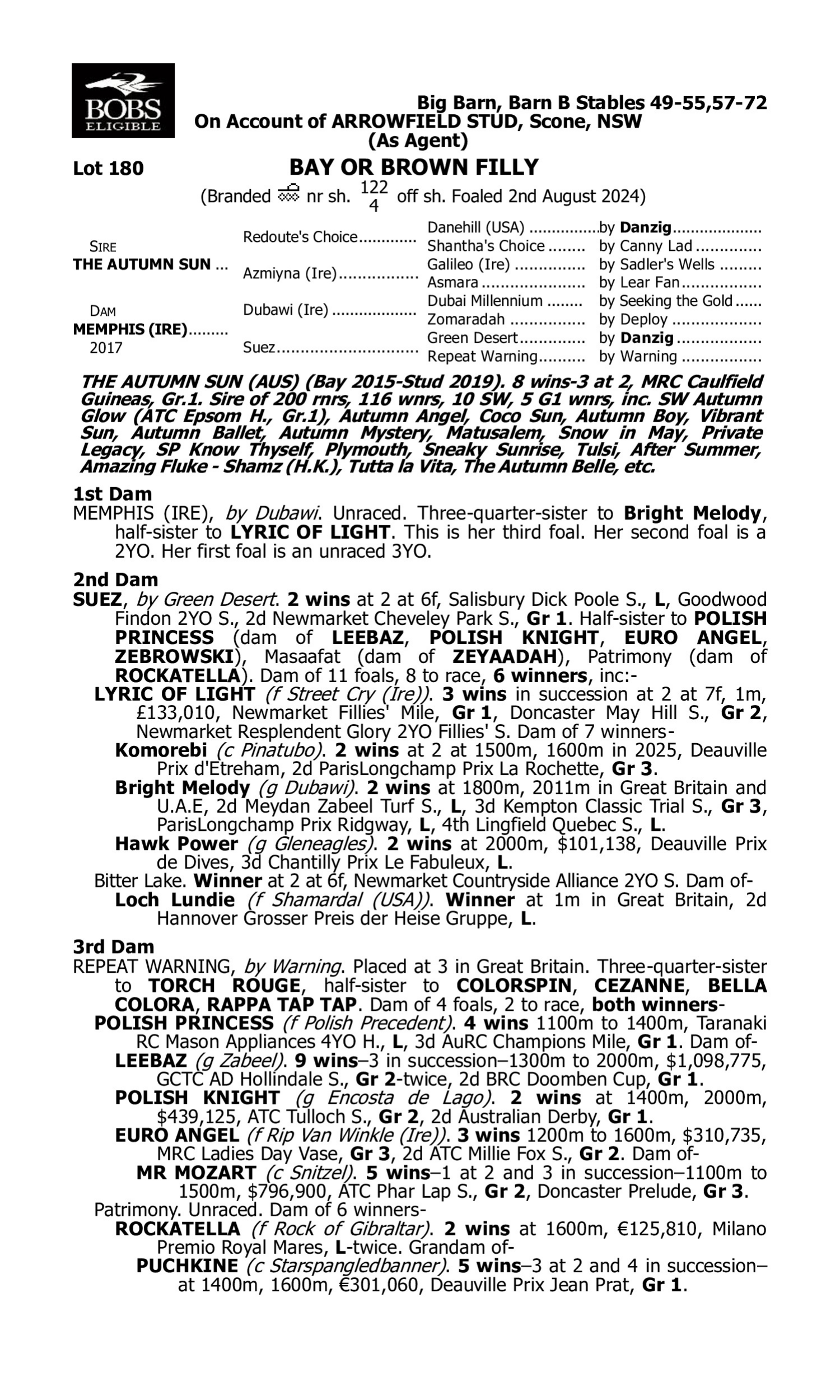 Pedigree for Lot 180 The Autumn Sun - Memphis (IRE)
