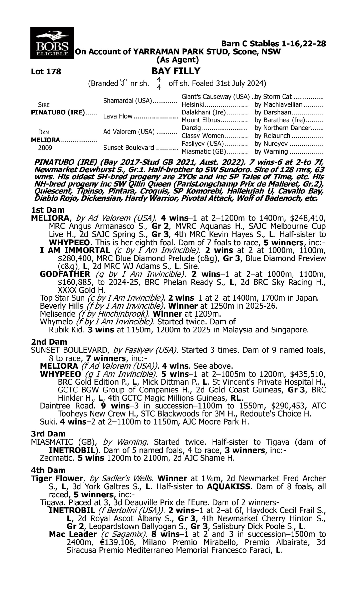 Pedigree for Lot 178 Pinatubo (IRE) - Meliora