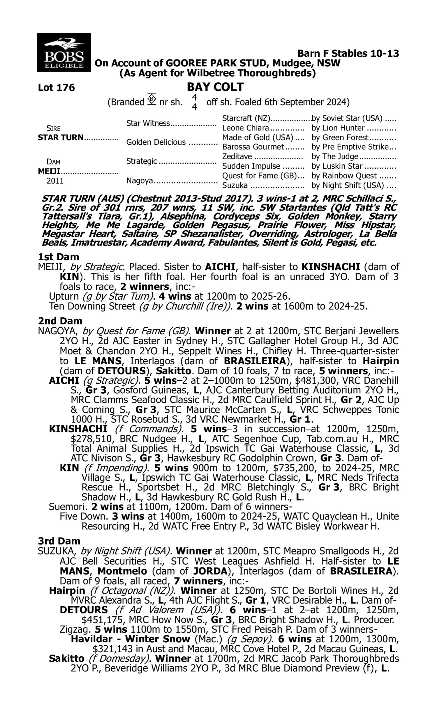 Pedigree for Lot 176 Star Turn - Meiji