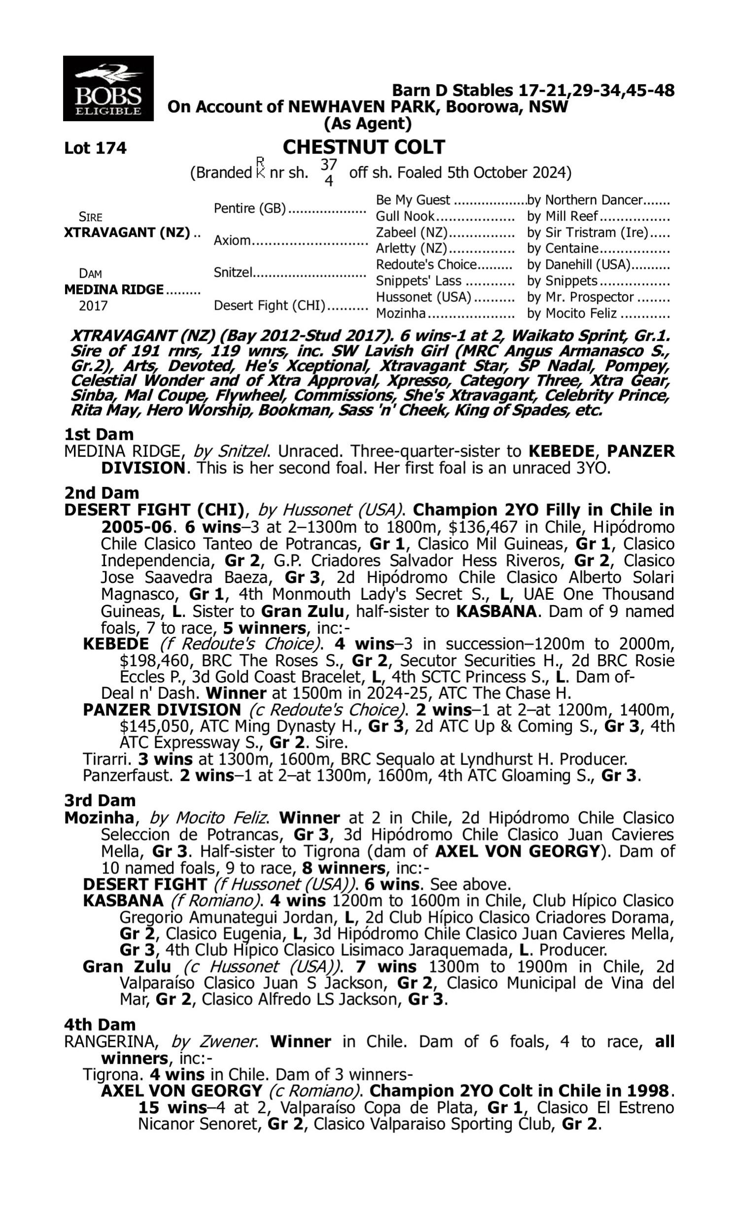Pedigree for Lot 174 Xtravagant (NZ) - Medina Ridge