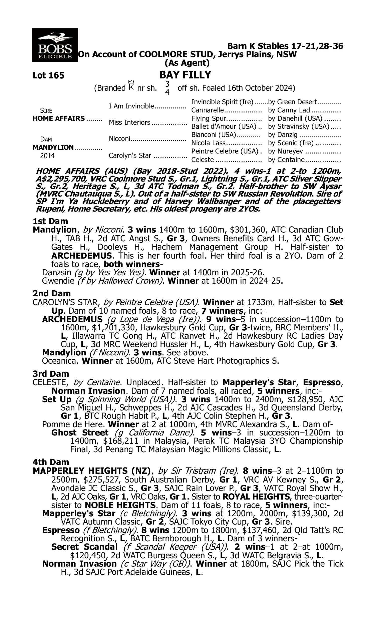 Pedigree for Lot 165 Home Affairs - Mandylion