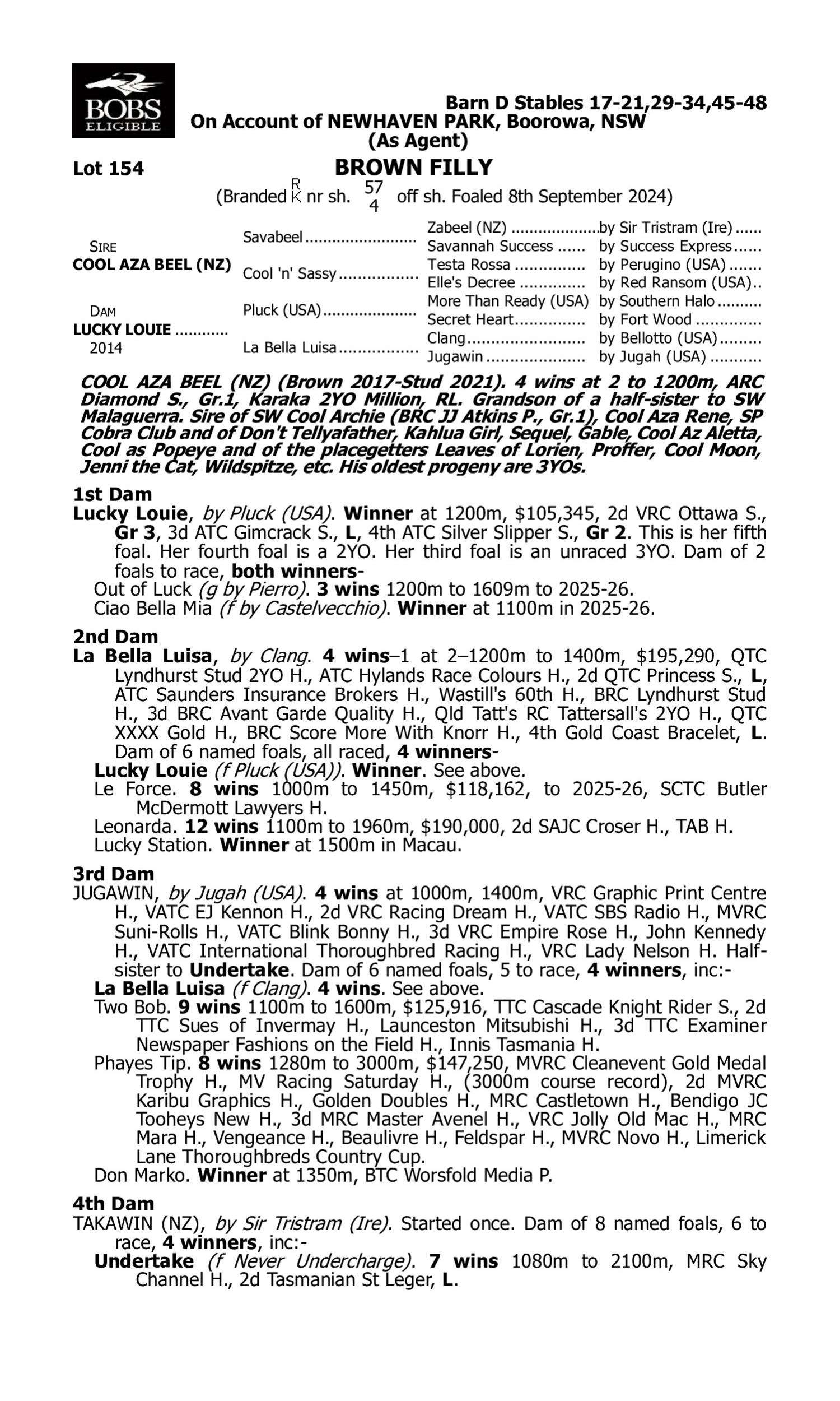 Pedigree for Lot 154 Cool Aza Beel (NZ) - Lucky Louie