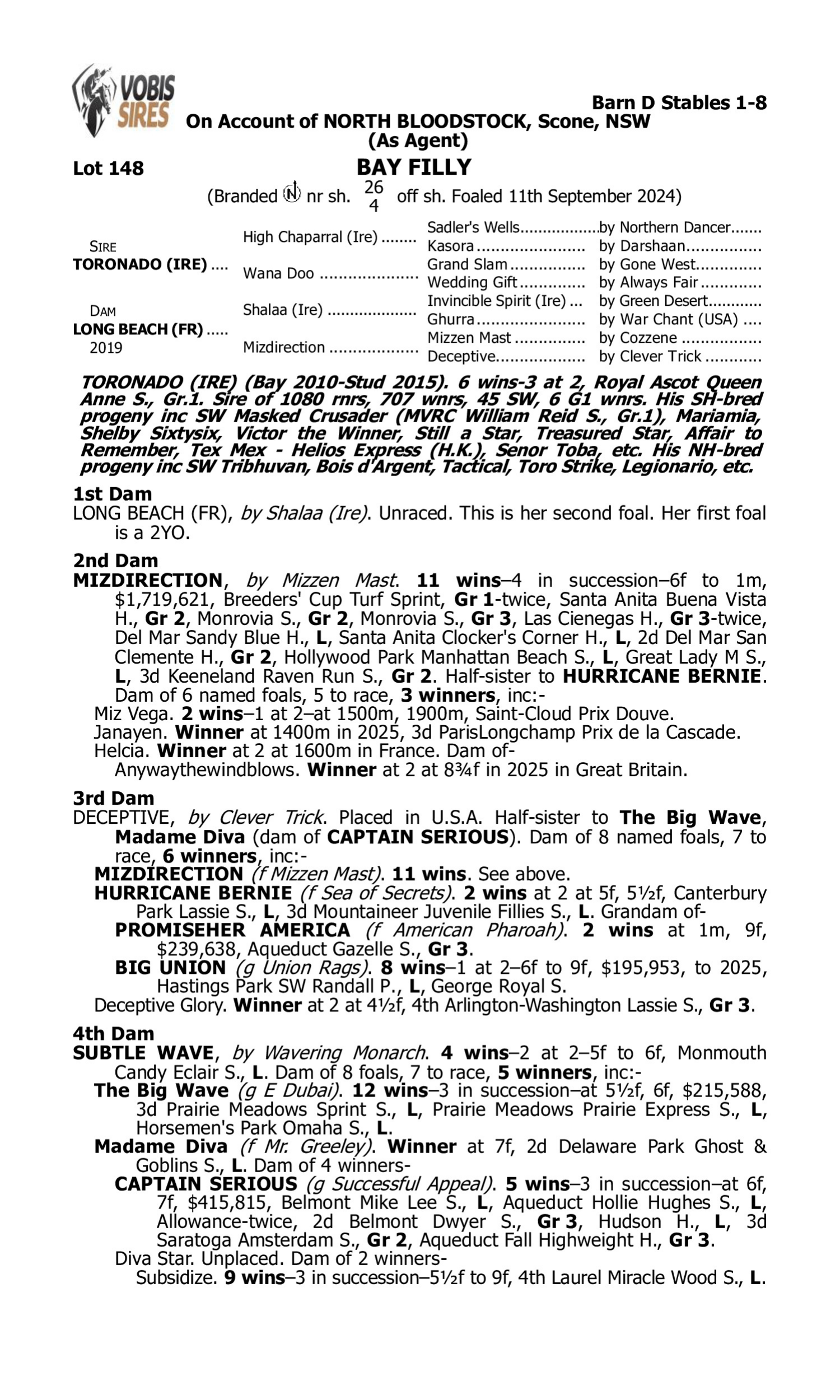 Pedigree for Lot 148 Toronado (IRE) - Long Beach (FR)