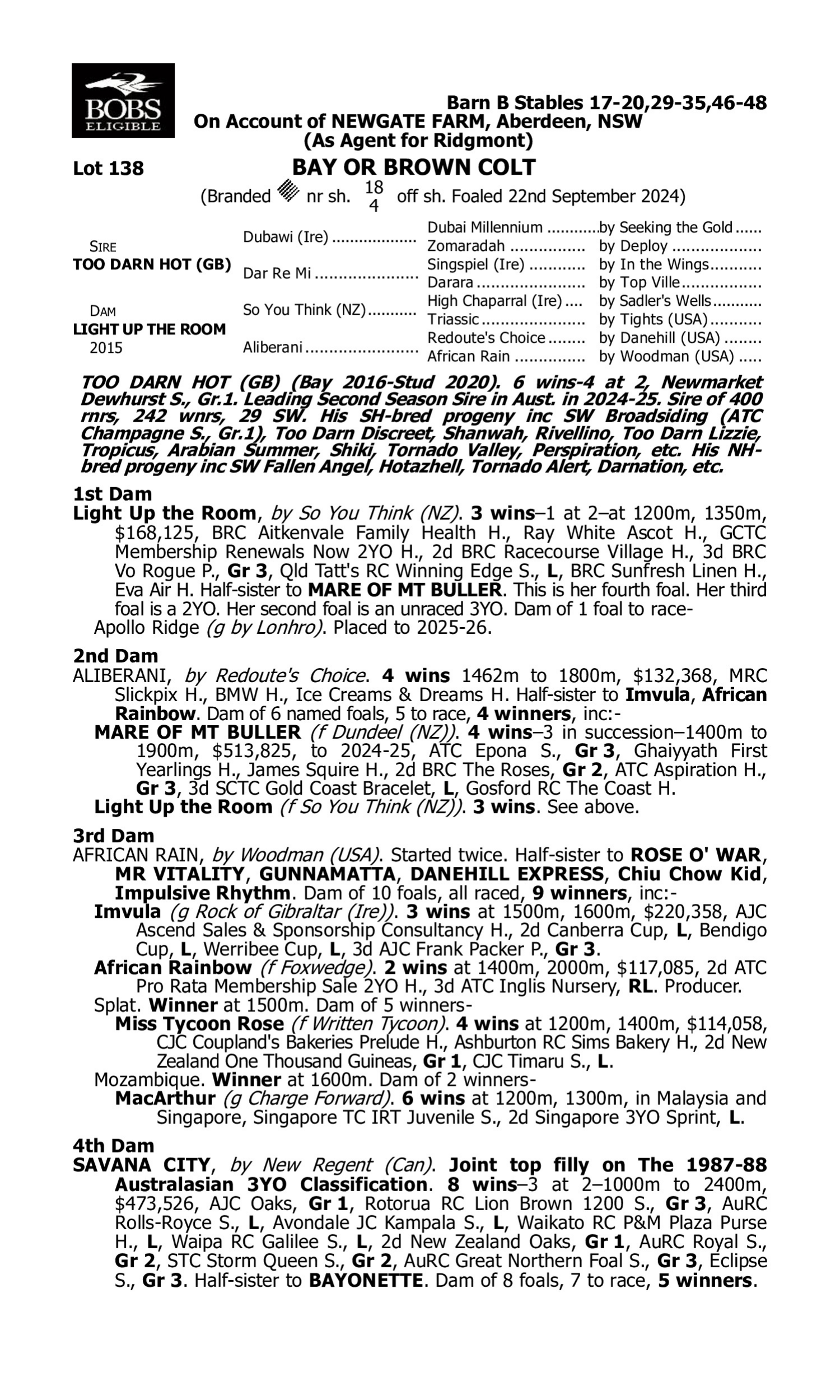Pedigree for Lot 138 Too Darn Hot (GB) - Light Up the Room