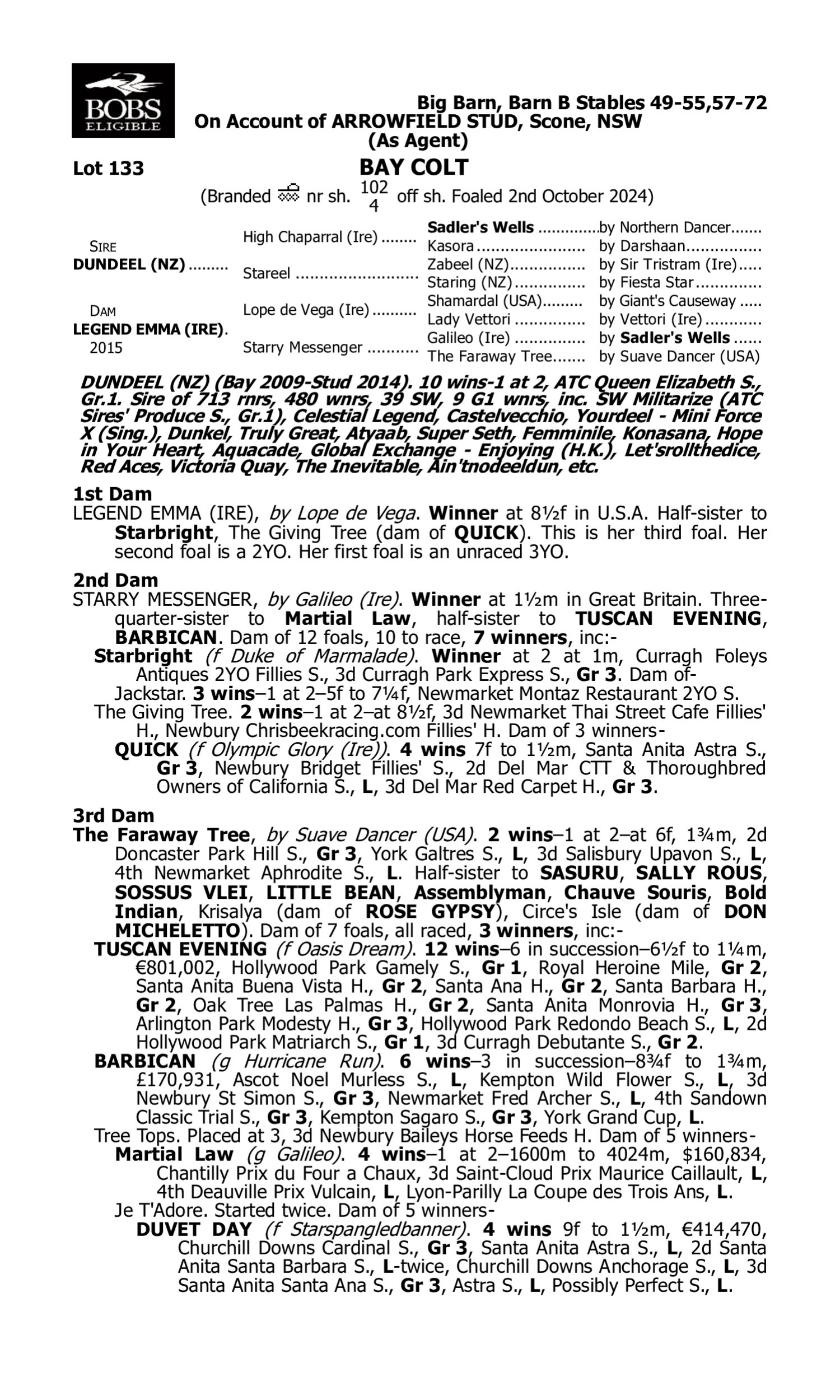 Pedigree for Lot 133 Dundeel (NZ) - Legend Emma (IRE)
