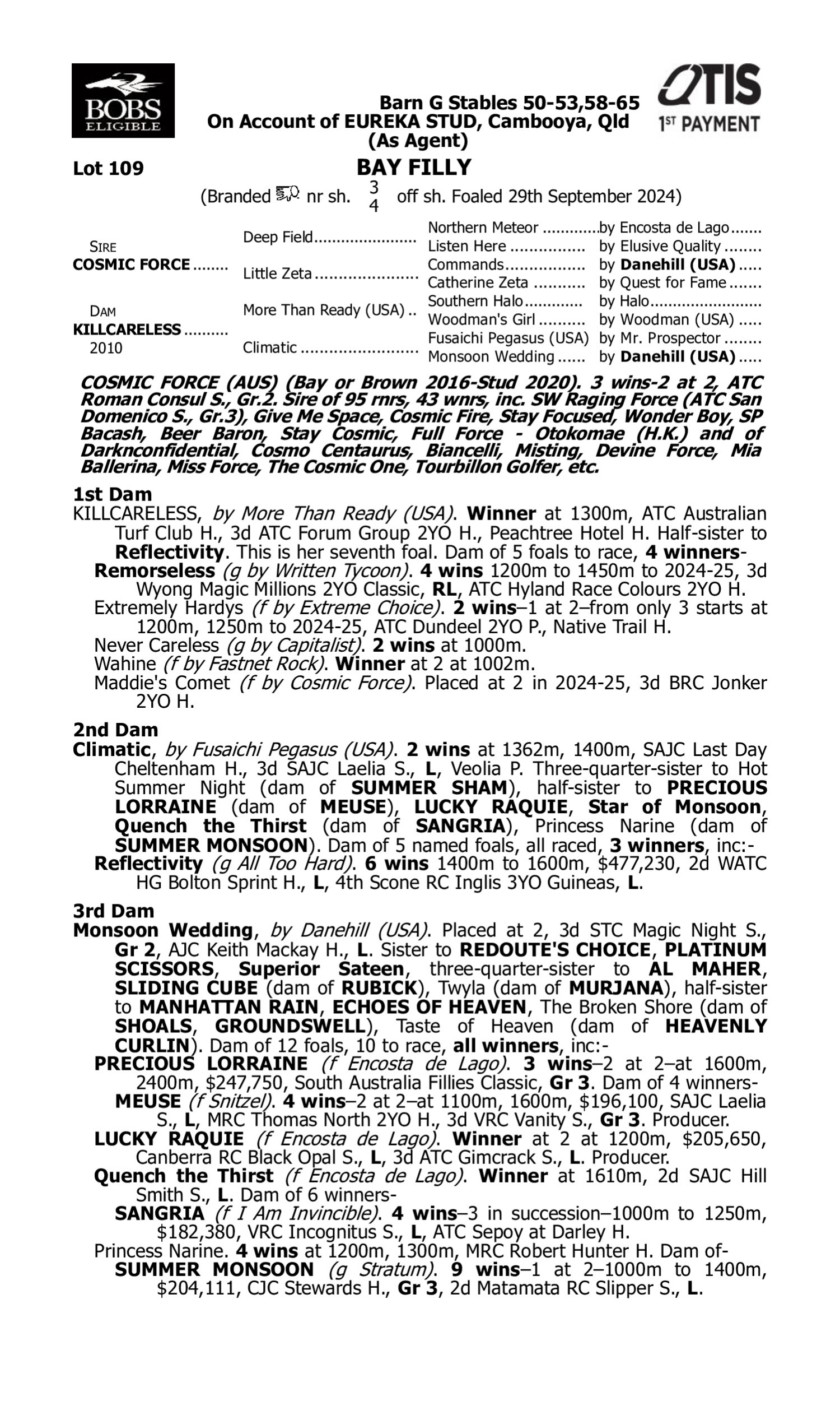Pedigree for Lot 109 Cosmic Force - Killcareless