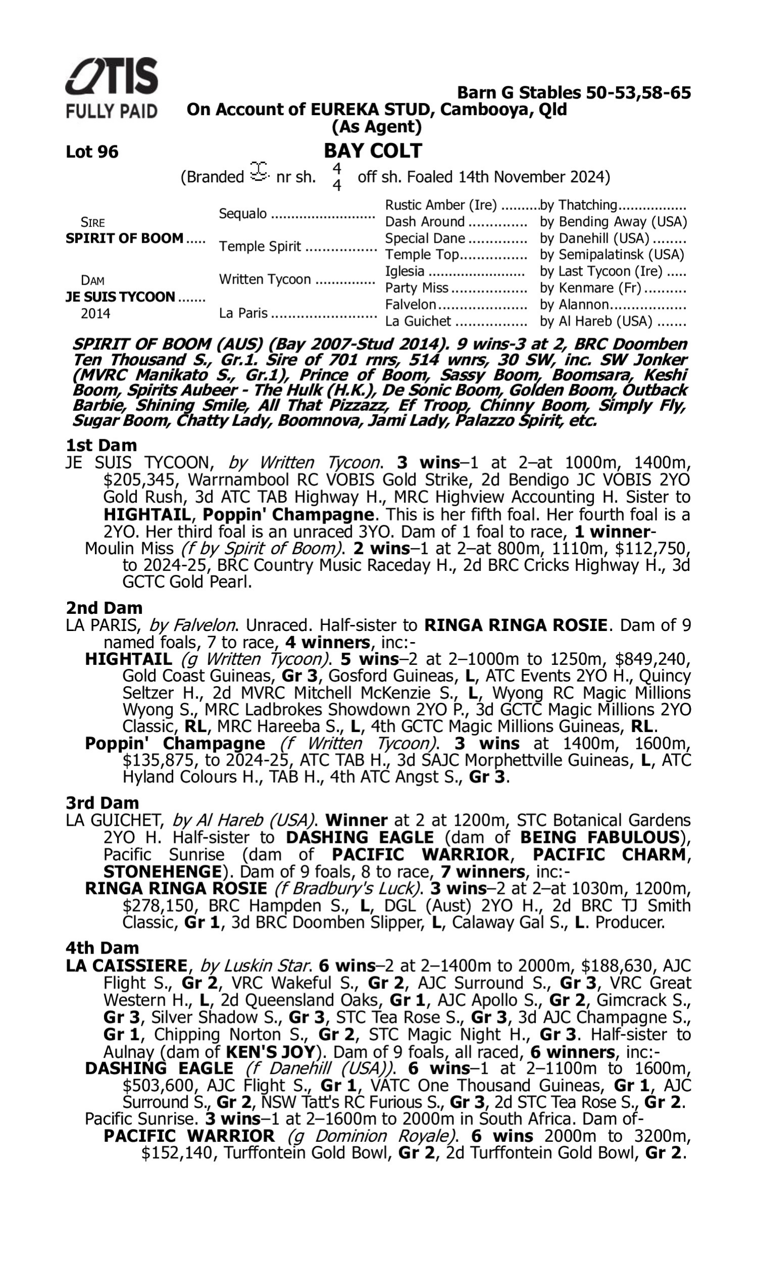 Pedigree for Lot 96 Spirit of Boom - Je Suis Tycoon