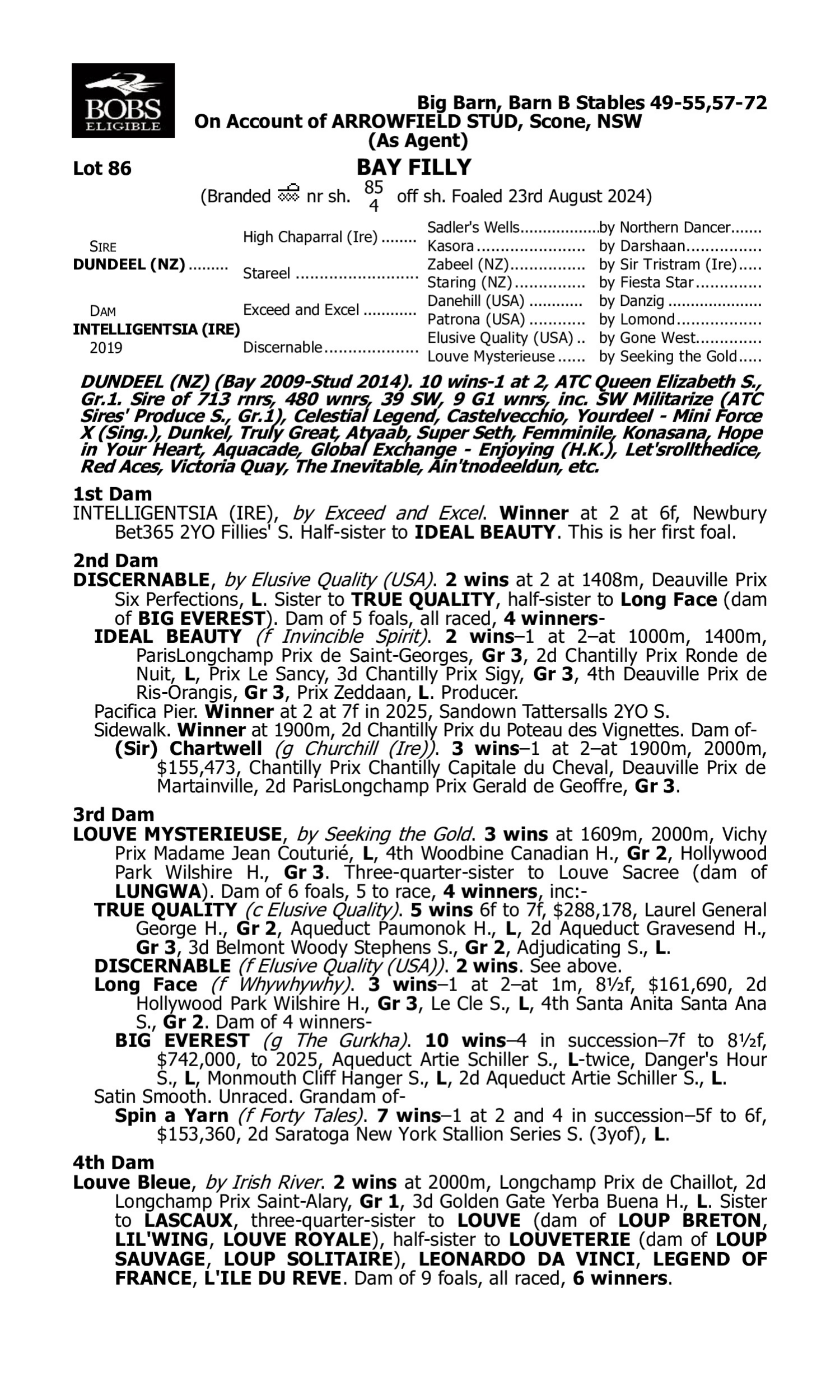 Pedigree for Lot 86 Dundeel (NZ) - Intelligentsia (IRE)
