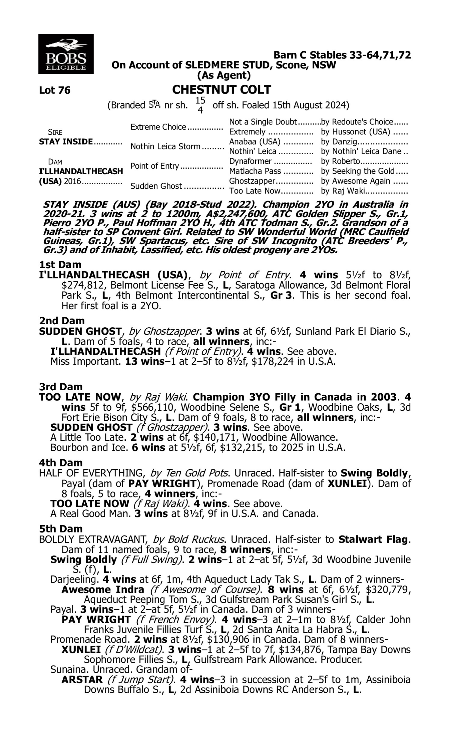 Pedigree for Lot 76 Stay Inside - I'llhandalthecash (USA)