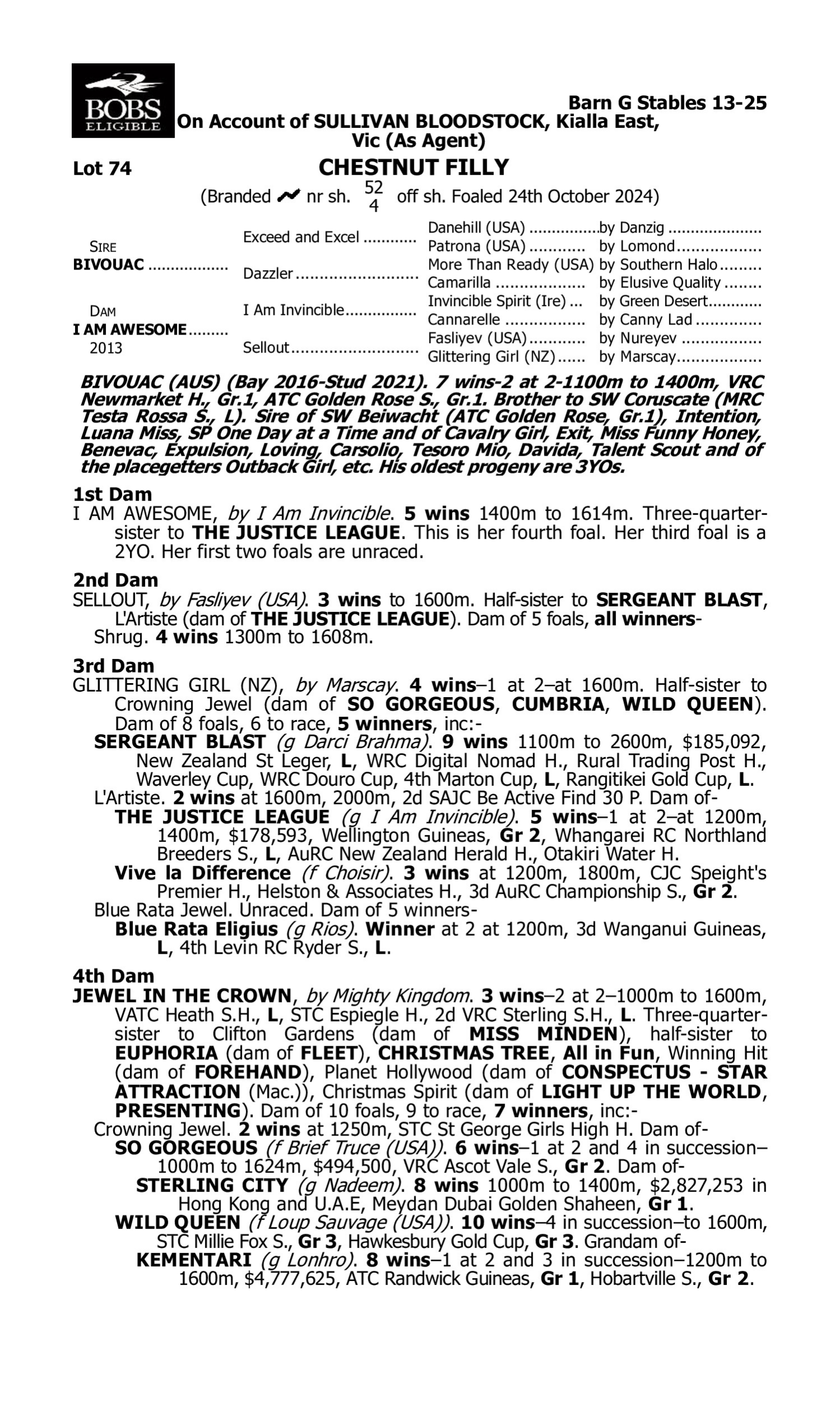 Pedigree for Lot 74 Bivouac - I Am Awesome