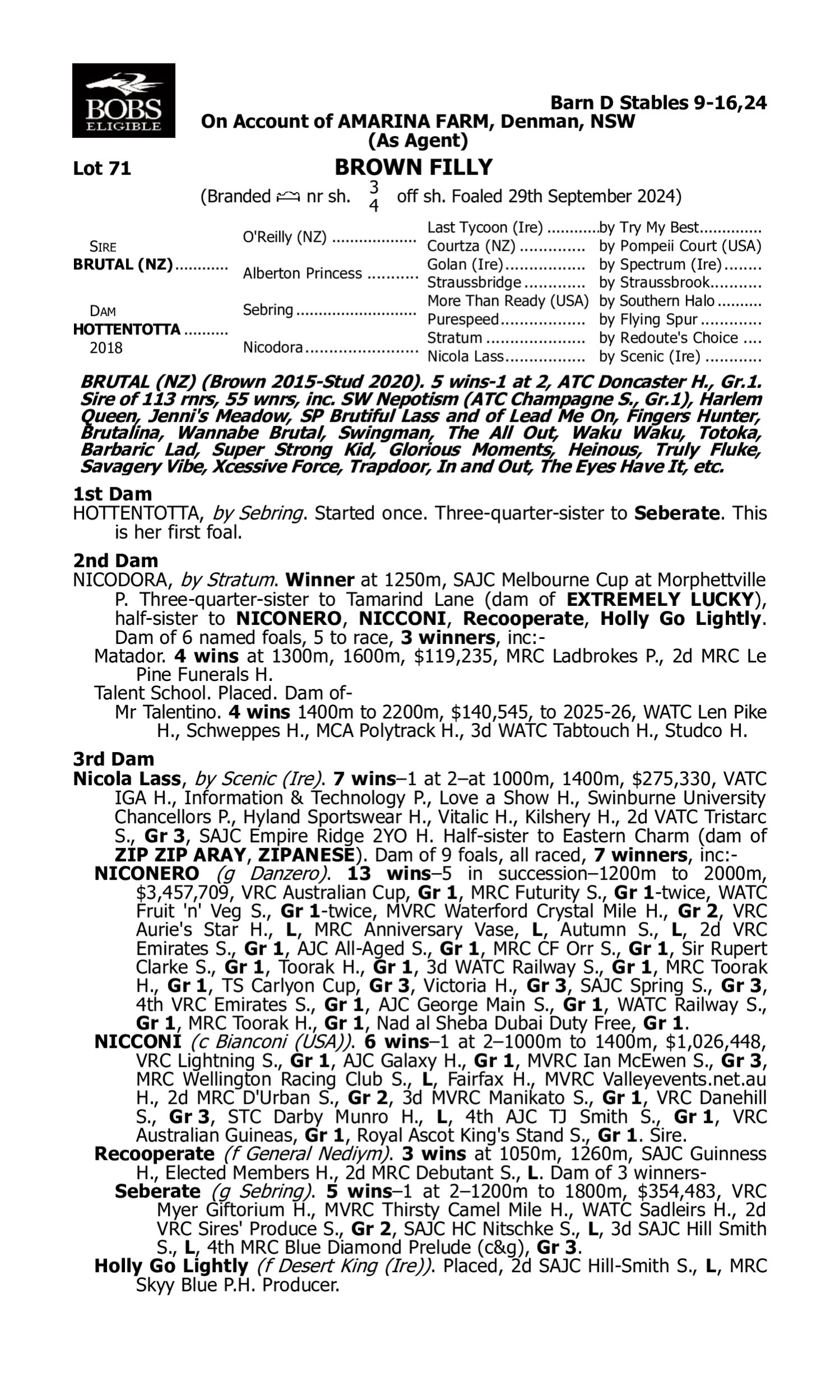 Pedigree for Lot 71 Brutal (NZ) - Hottentotta