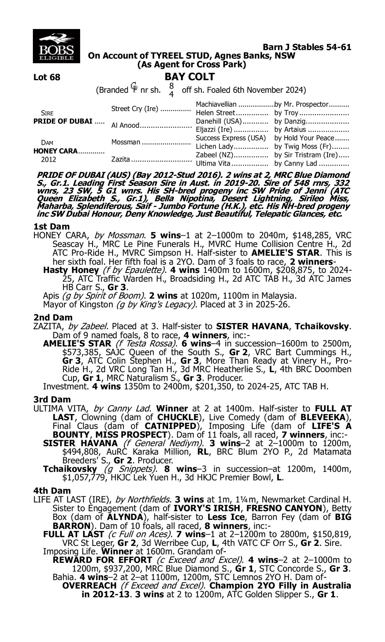 Pedigree for Lot 68 Pride of Dubai - Honey Cara
