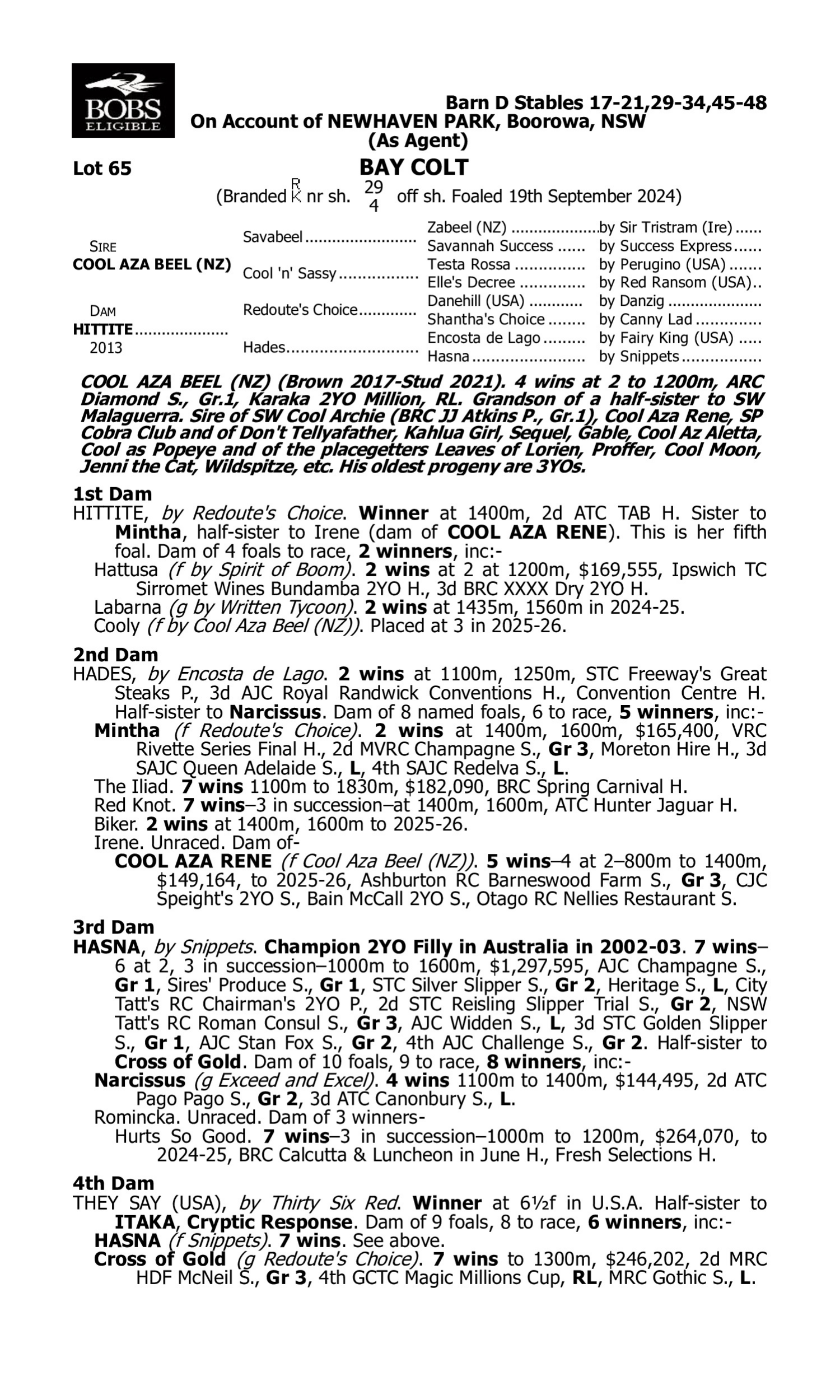 Pedigree for Lot 65 Cool Aza Beel (NZ) - Hittite