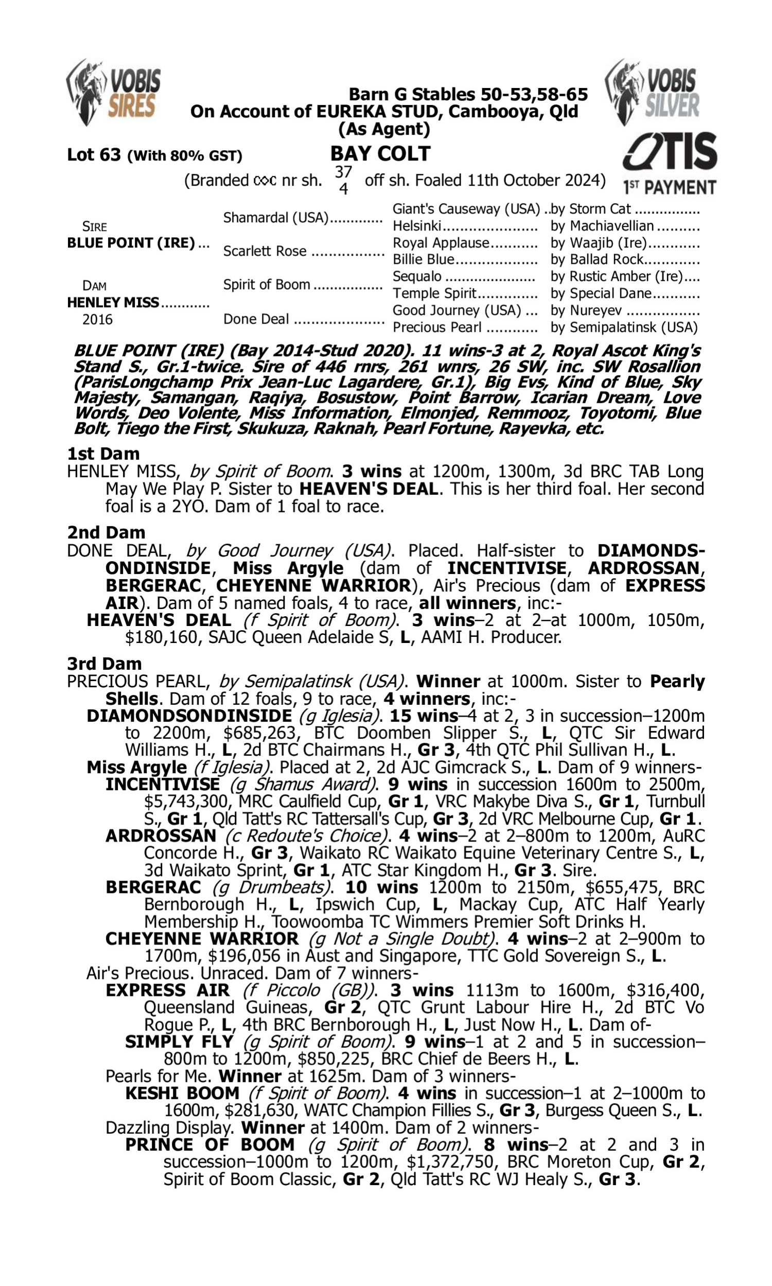 Pedigree for Lot 63 Blue Point (IRE) - Henley Miss
