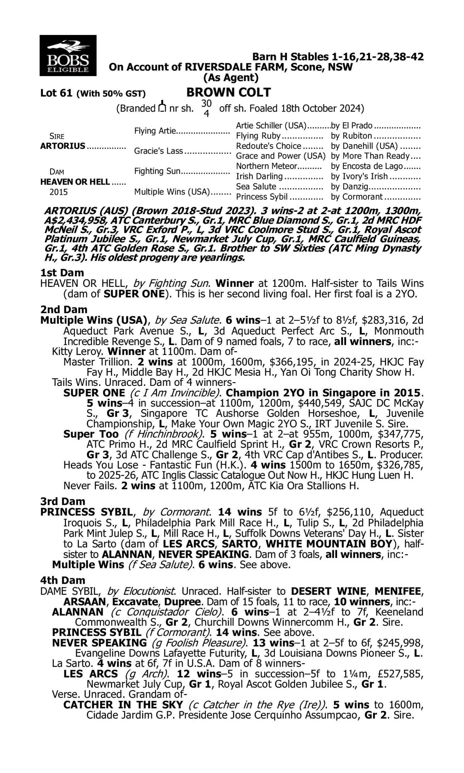Pedigree for Lot 61 Artorius - Heaven or Hell