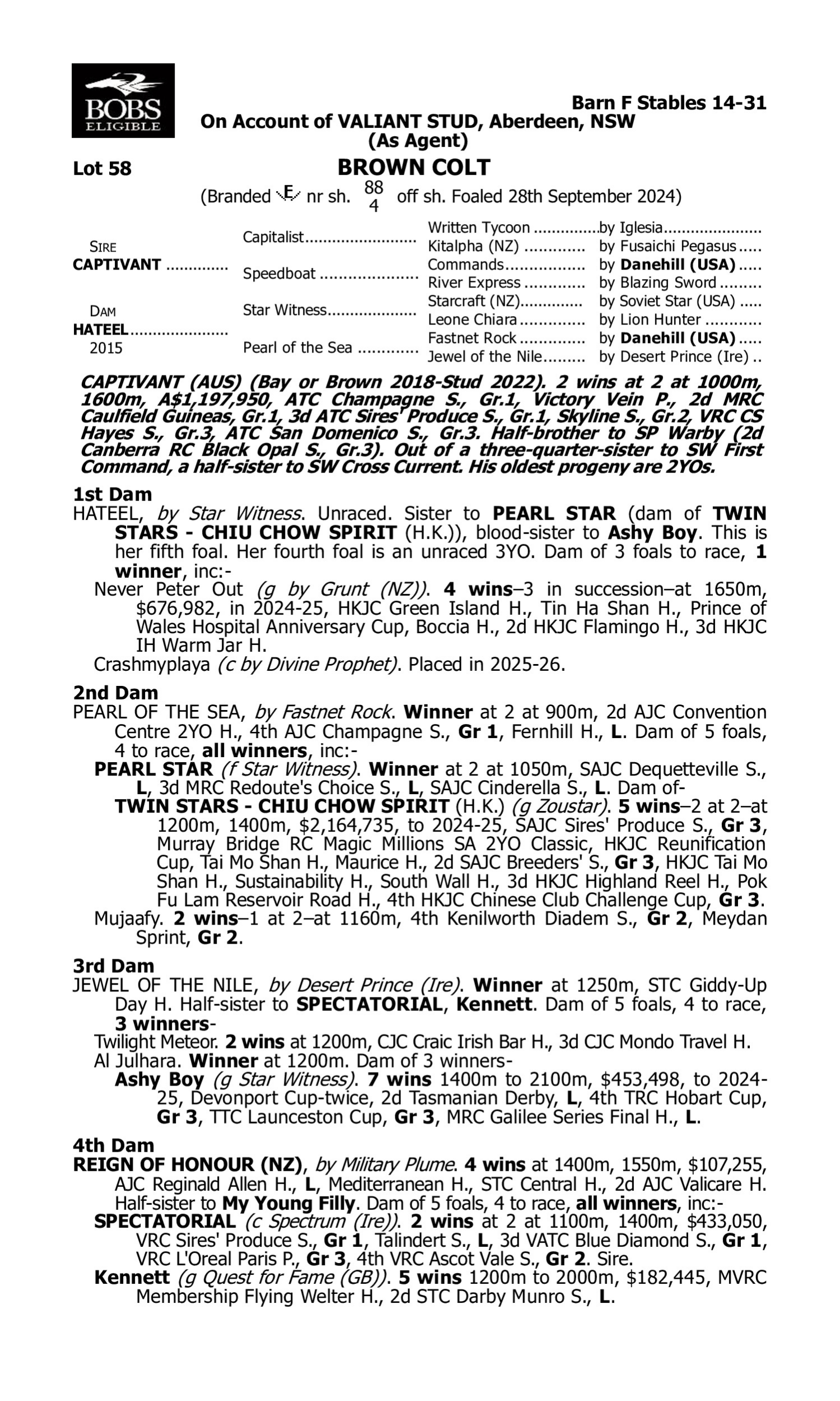 Pedigree for Lot 58 Captivant - Hateel