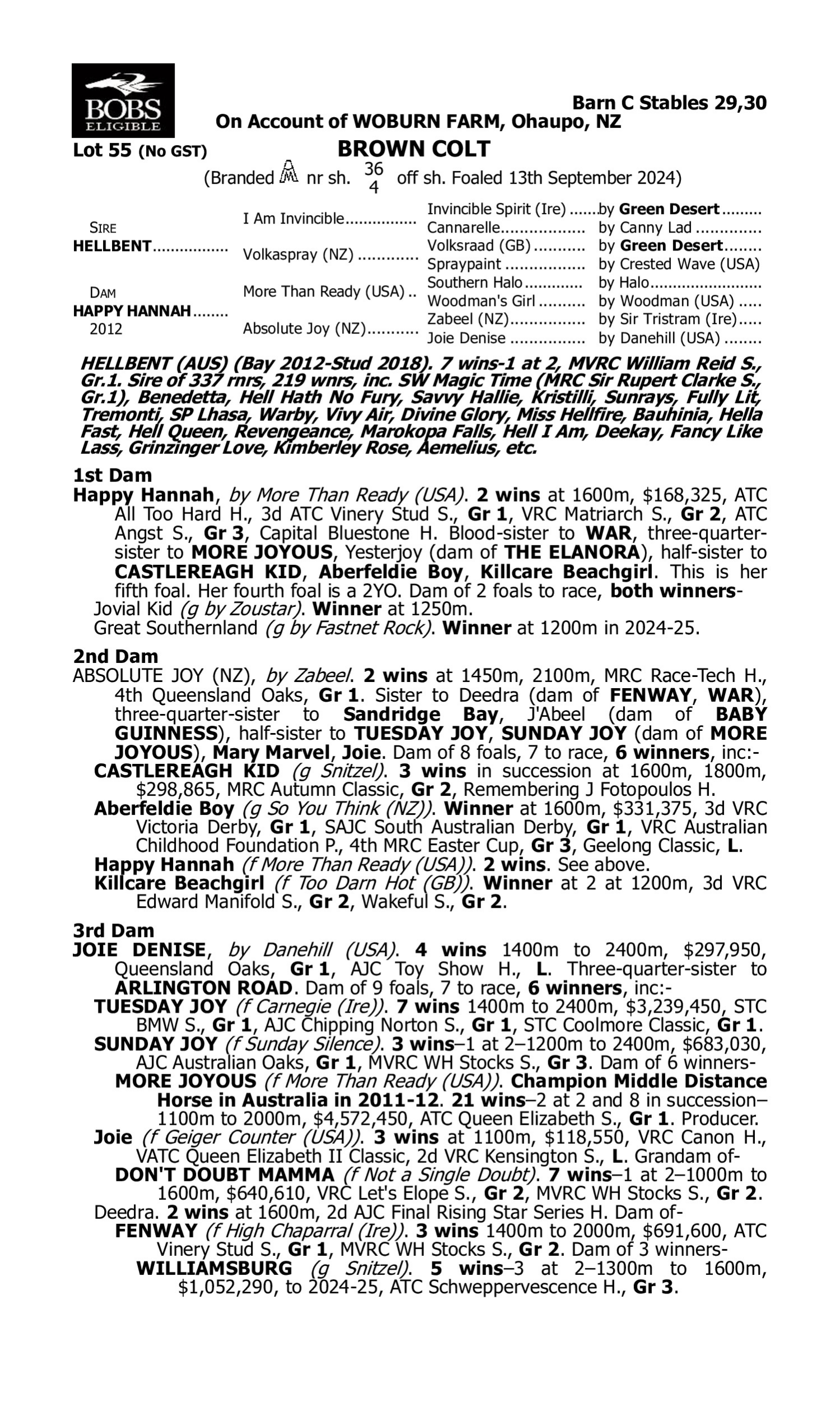 Pedigree for Lot 55 Hellbent - Happy Hannah