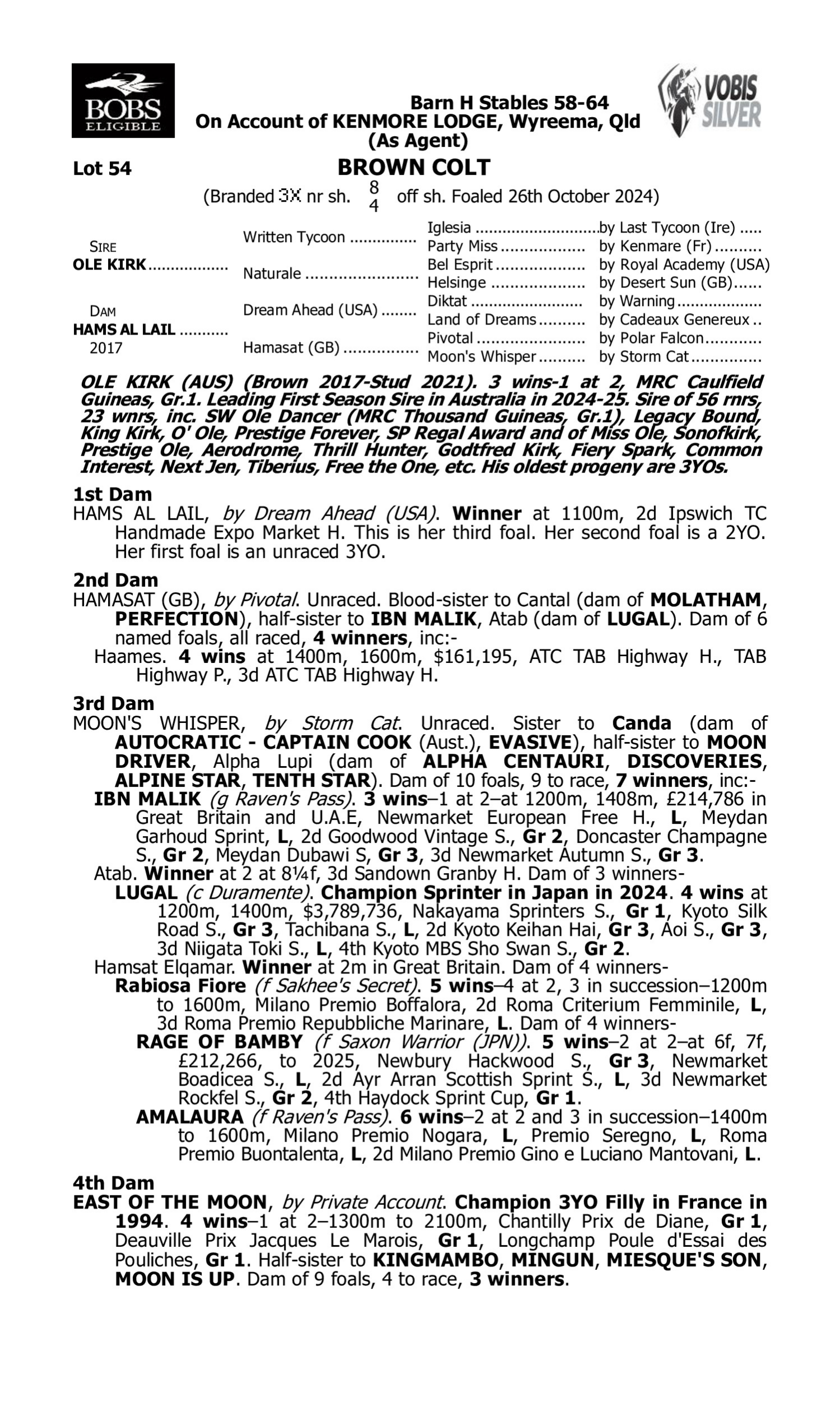 Pedigree for Lot 54 Ole Kirk - Hams Al Lail