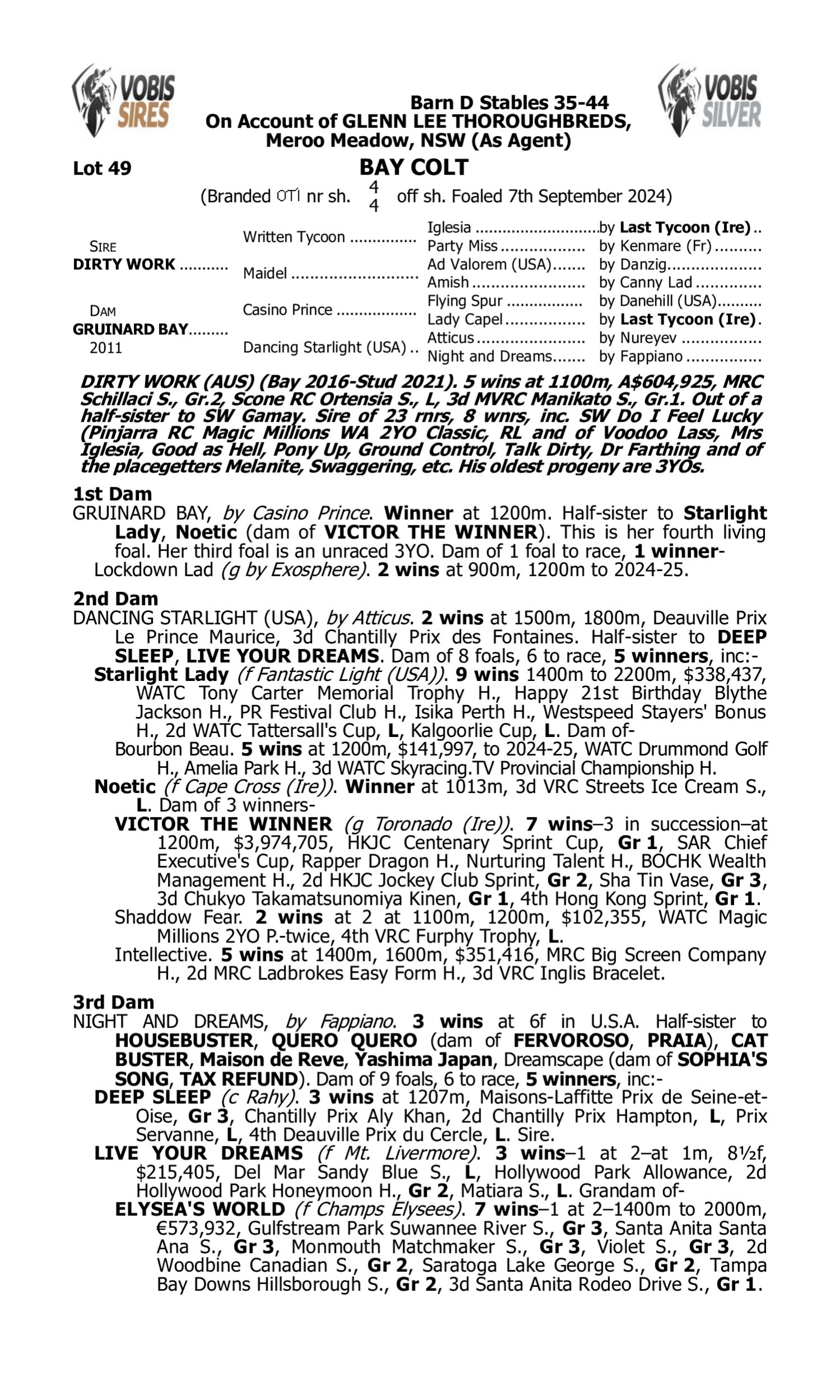 Pedigree for Lot 49 Dirty Work - Gruinard Bay