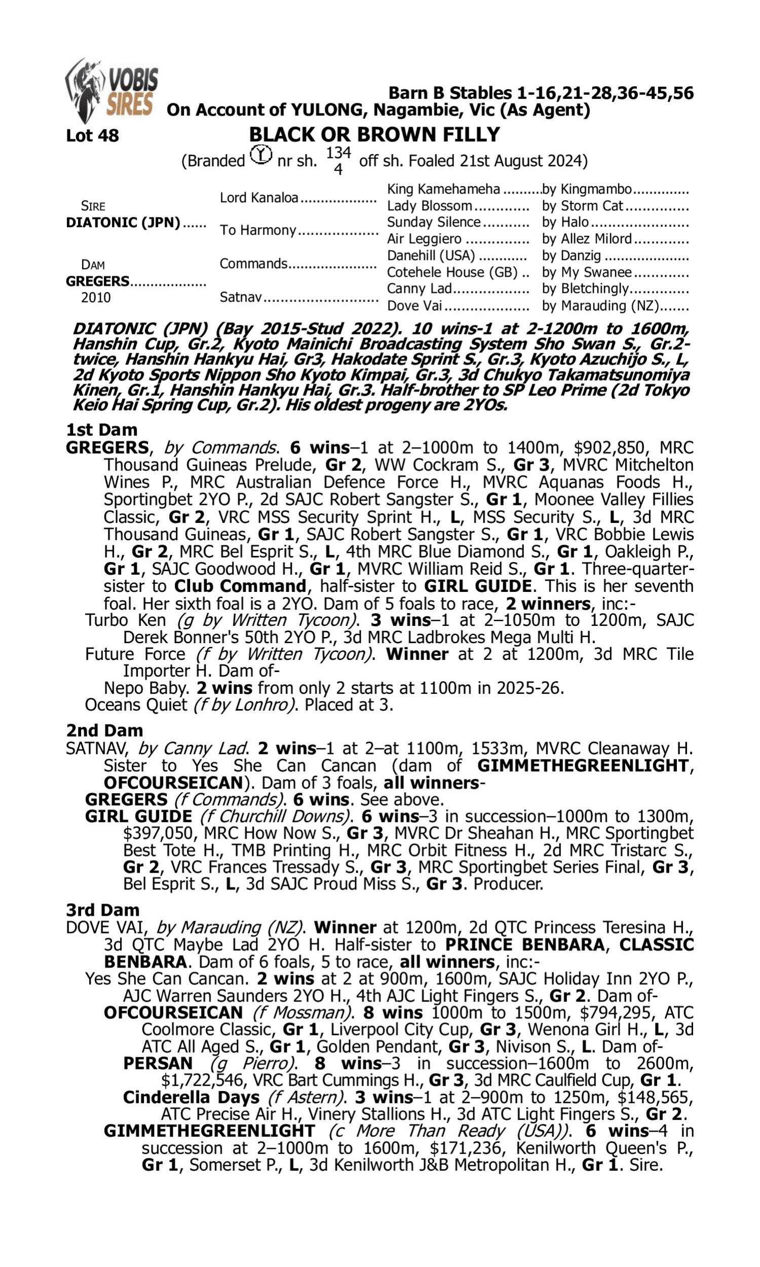 Pedigree for Lot 48 Diatonic (JPN) - Gregers