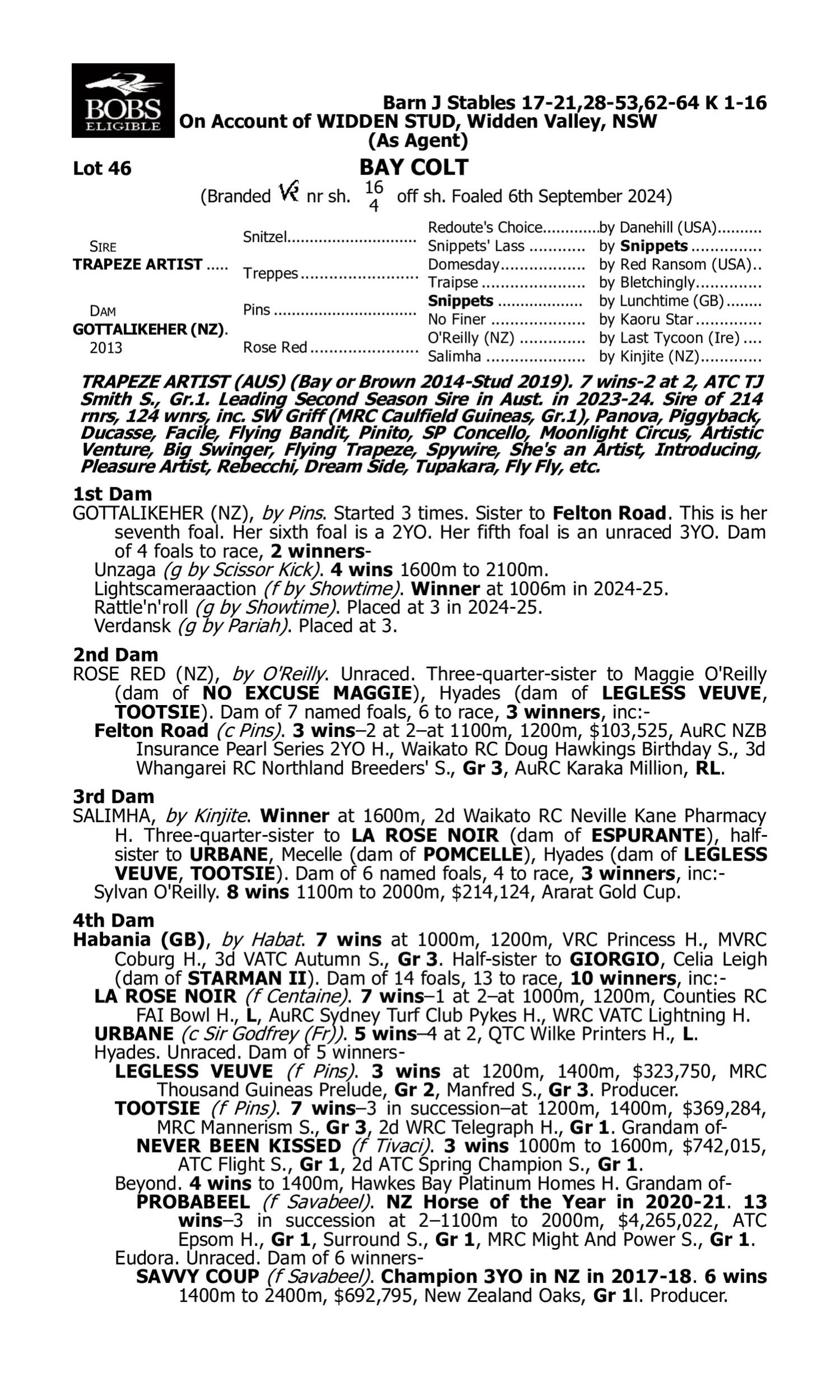 Pedigree for Lot 46 Trapeze Artist - Gottalikeher (NZ)