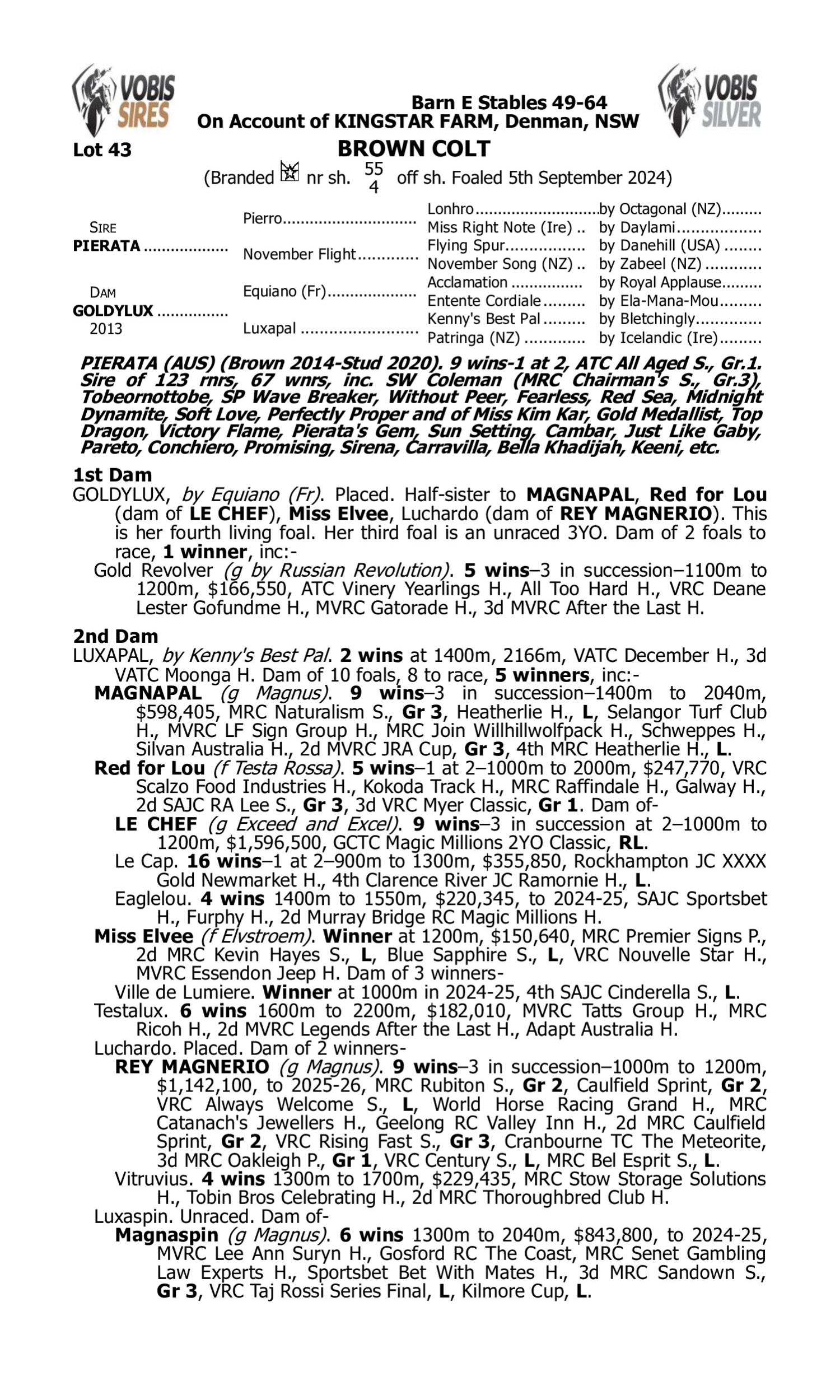 Pedigree for Lot 43 Pierata - Goldylux