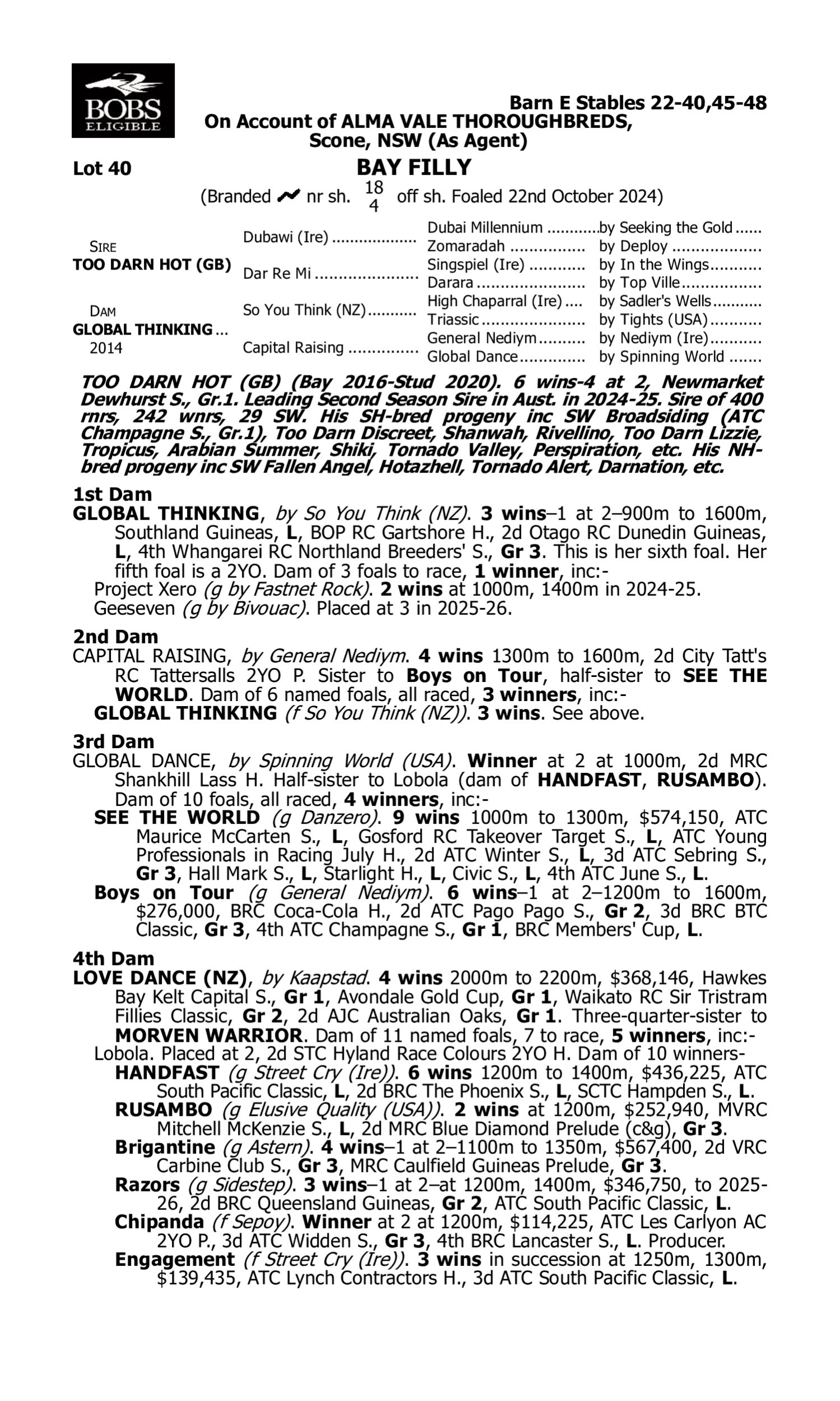 Pedigree for Lot 40 Too Darn Hot (GB) - Global Thinking