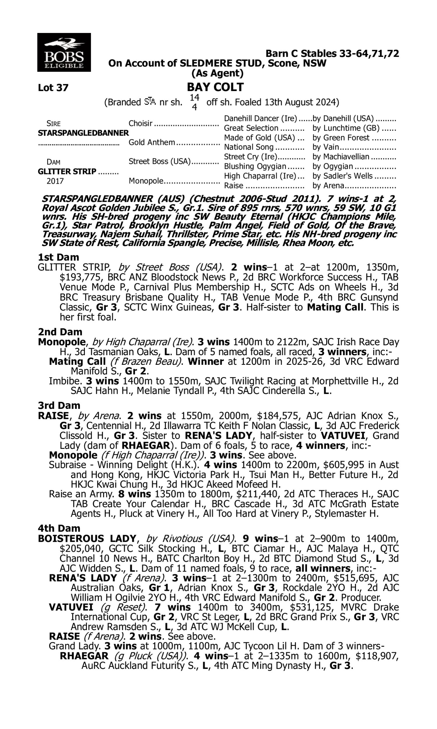 Pedigree for Lot 37 Starspangledbanner - Glitter Strip