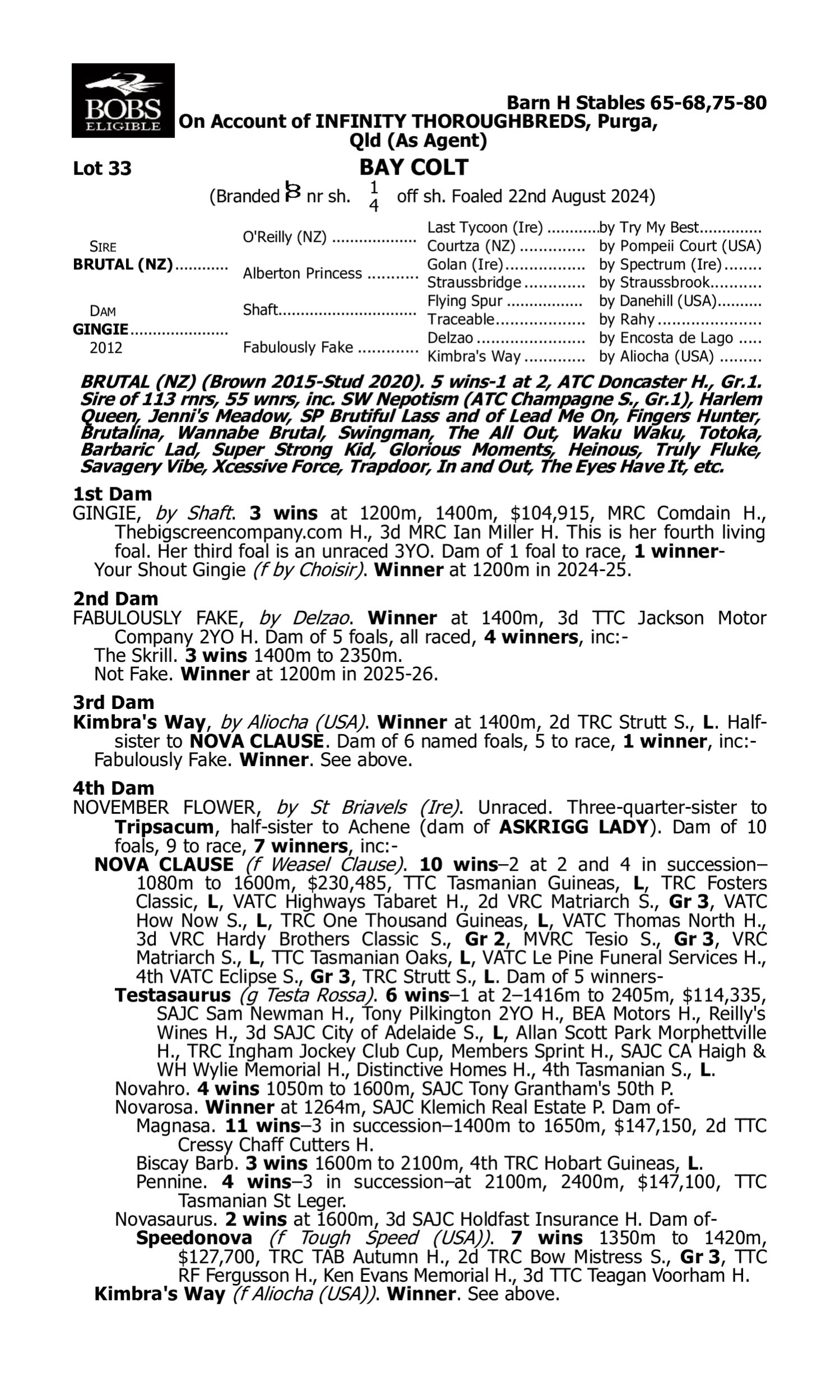 Pedigree for Lot 33 Brutal (NZ) - Gingie
