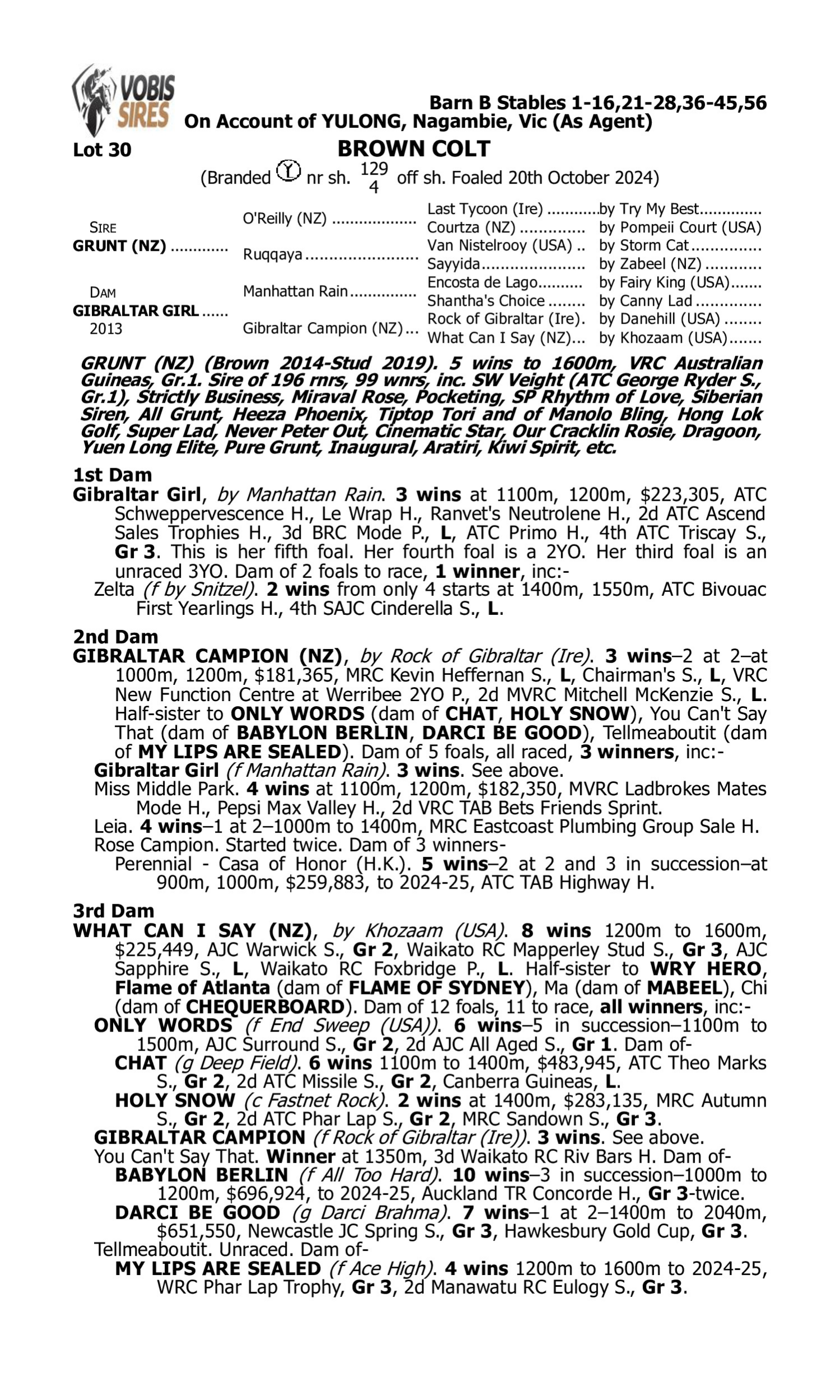 Pedigree for Lot 30 Grunt (NZ) - Gibraltar Girl