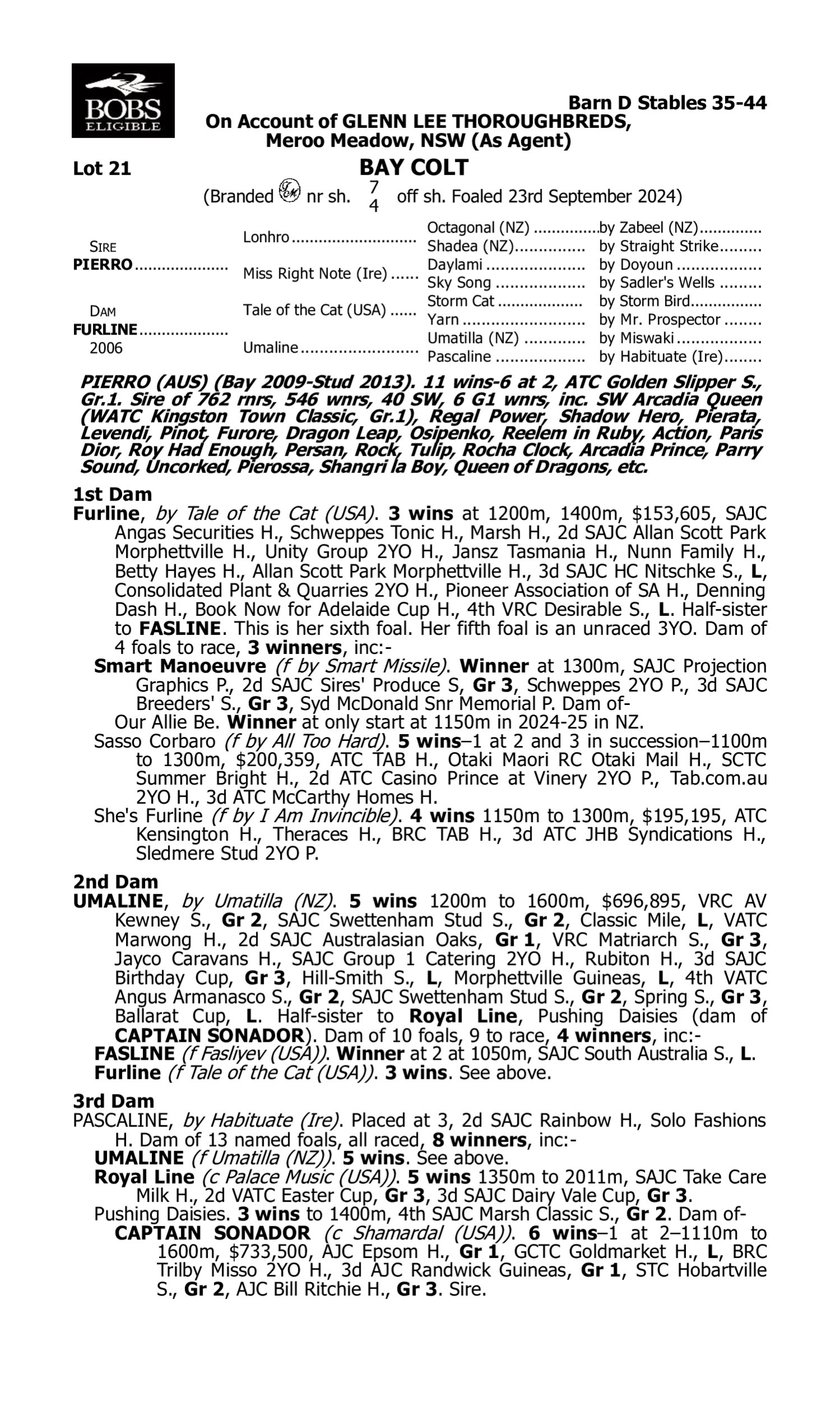 Pedigree for Lot 21 Pierro - Furline