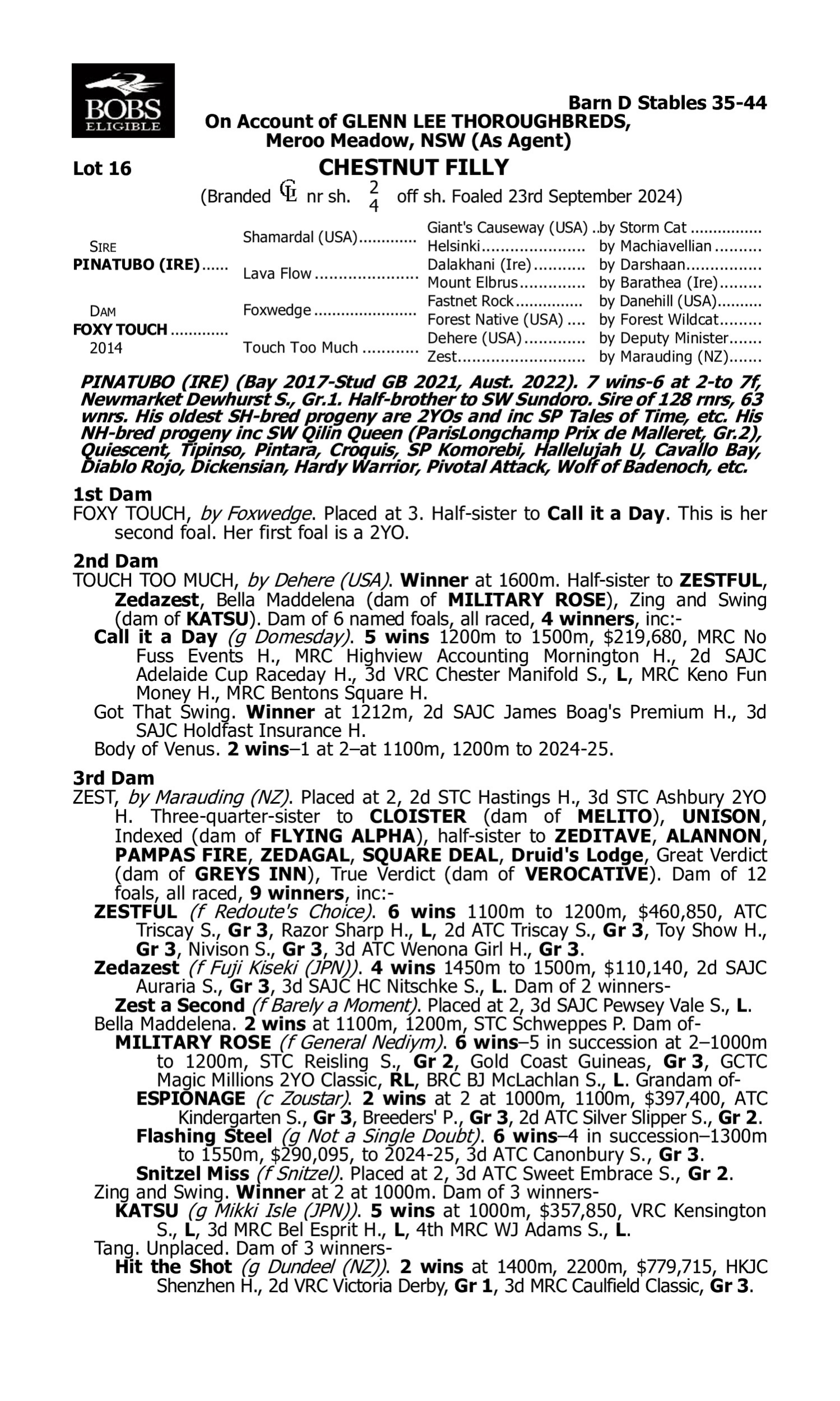 Pedigree for Lot 16 Pinatubo (IRE) - Foxy Touch