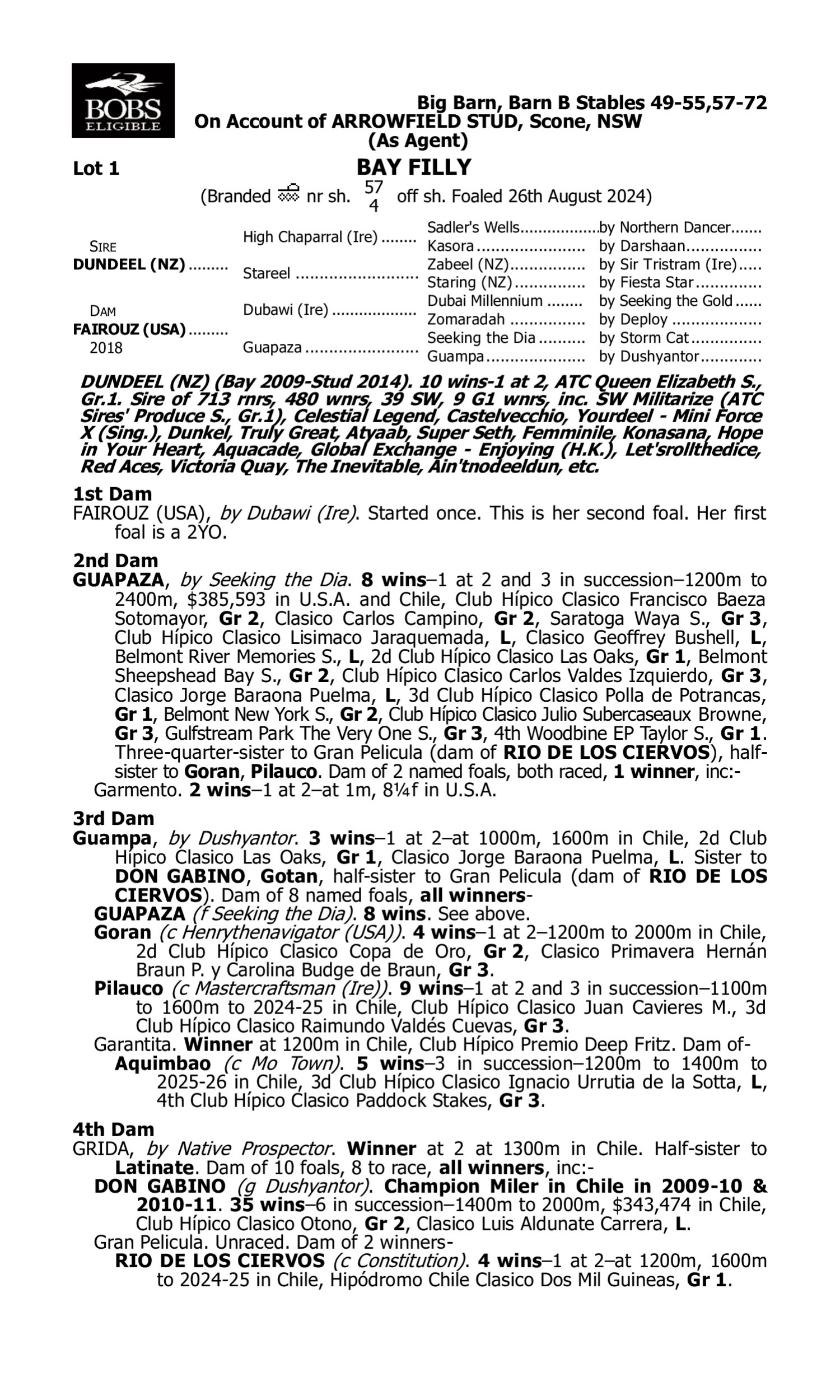 Pedigree for Lot 1 Dundeel (NZ) - Fairouz (USA)