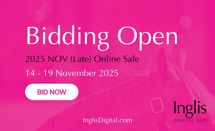 Nov (Late) Open for Bidding