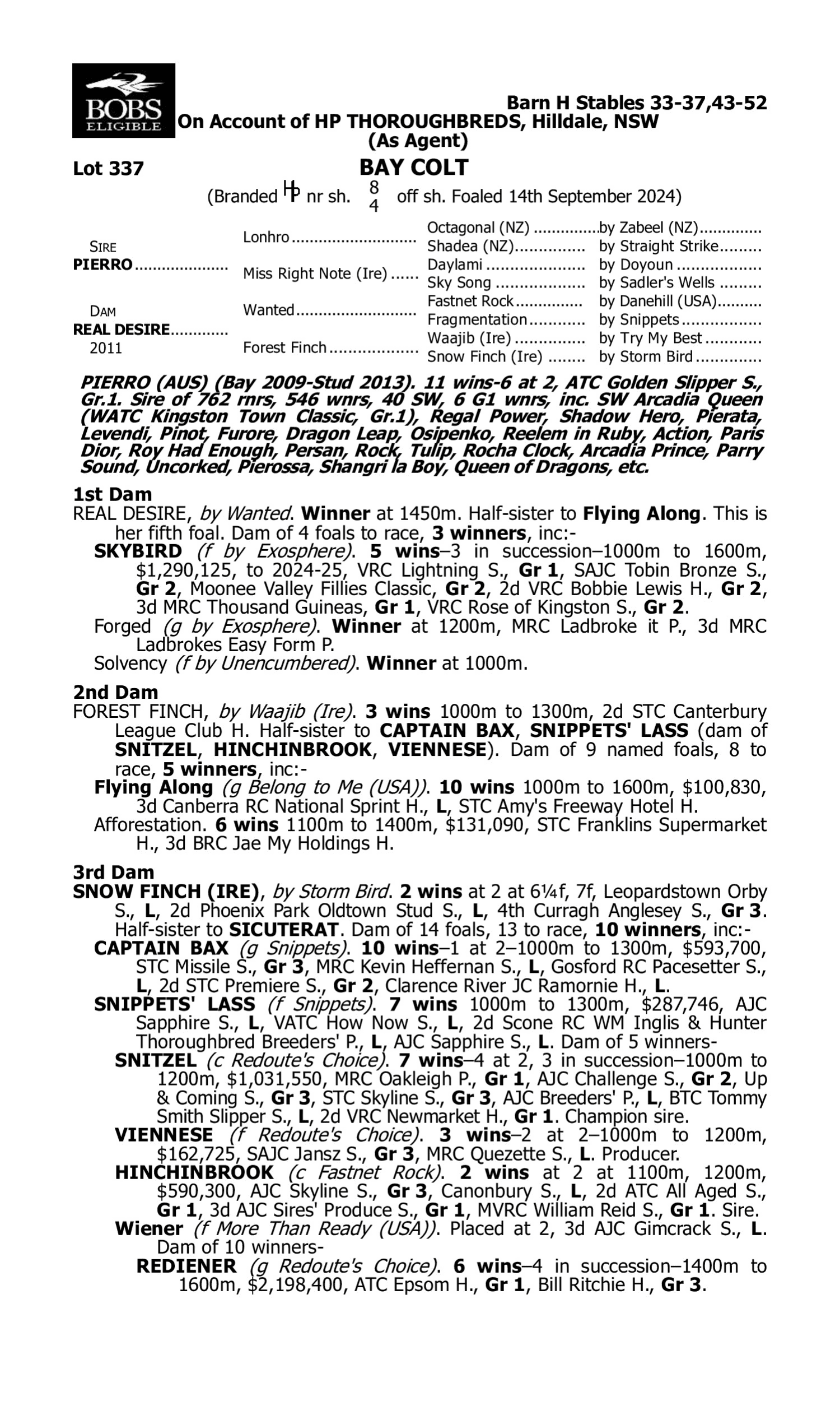 Pedigree for Lot 337 Pierro - Real Desire