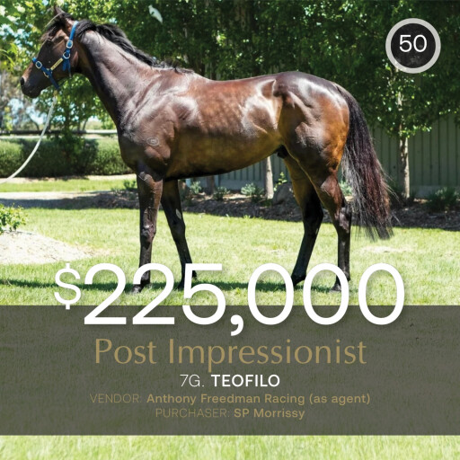 Ex-Williams, Packer 7YO tops November (Late) Sale