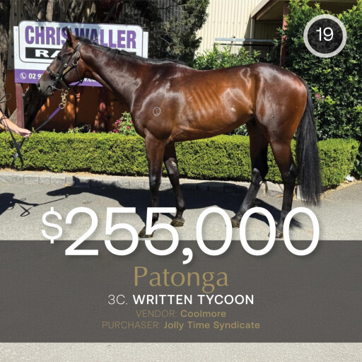 Hong Kong strikes again in December (Early) Online Sale