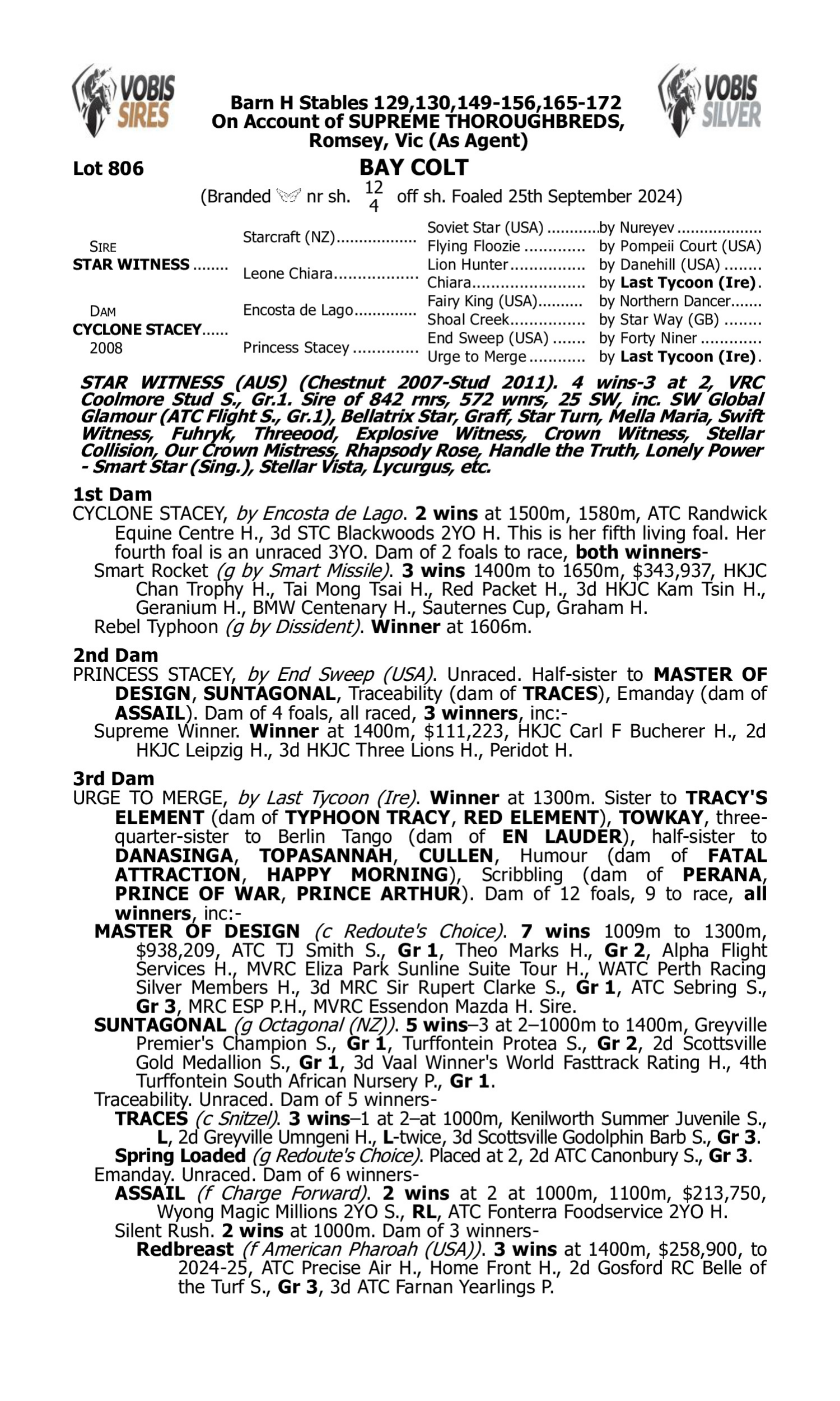 Pedigree for Lot 806 Star Witness - Cyclone Stacey